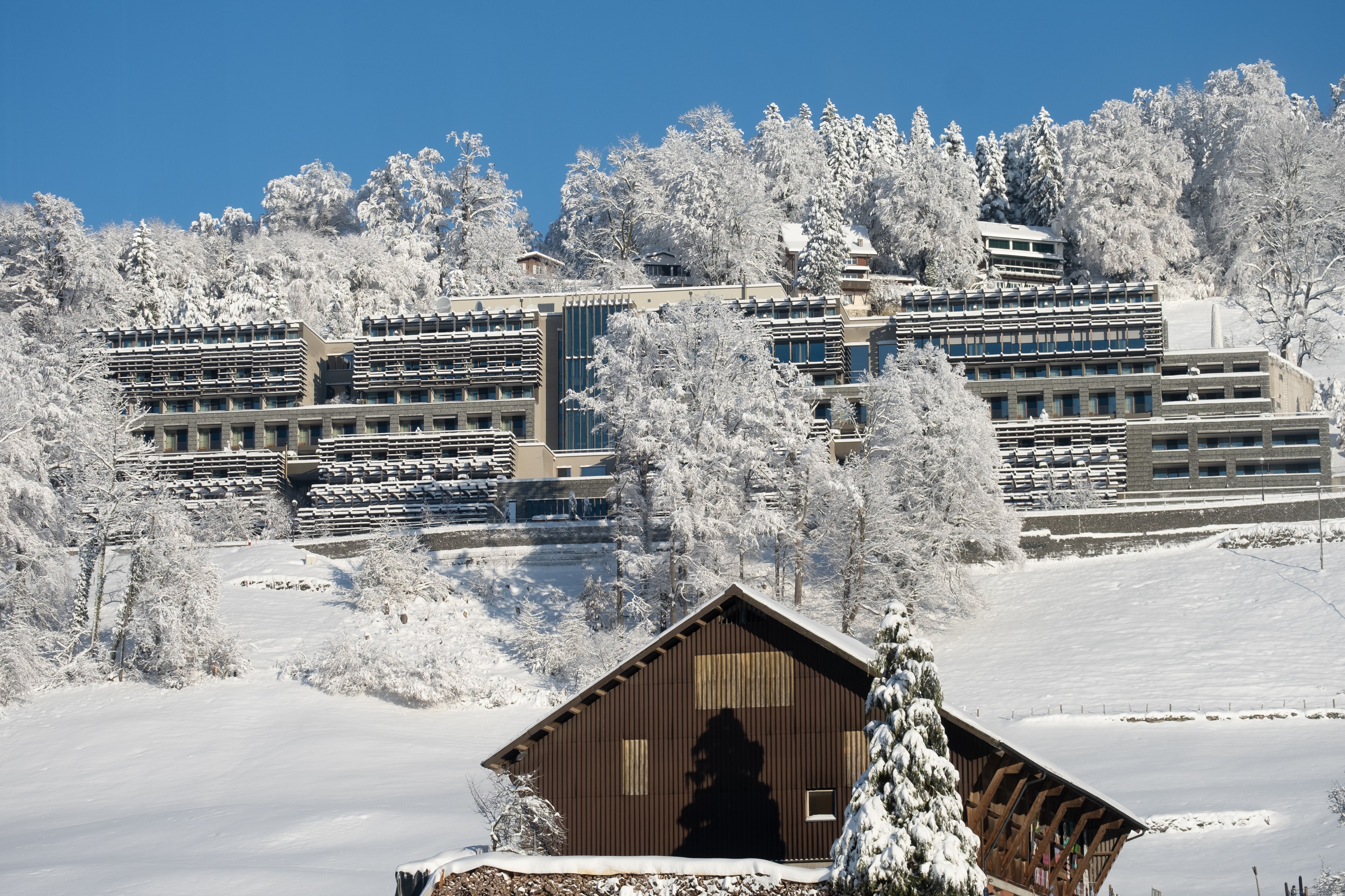 Waldhotel by Bürgenstock Waldhotel by Bürgenstock