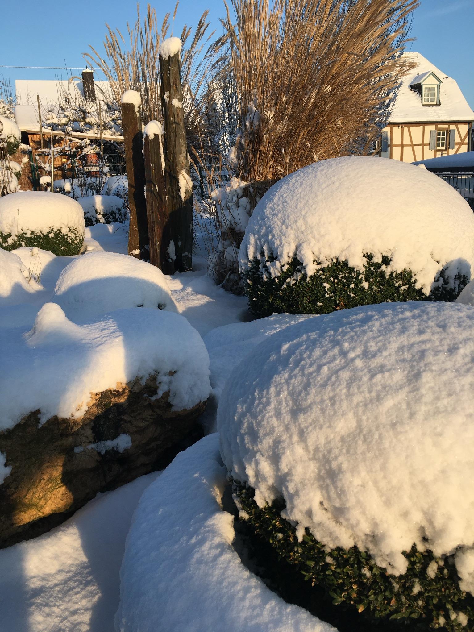 Garten im Winter