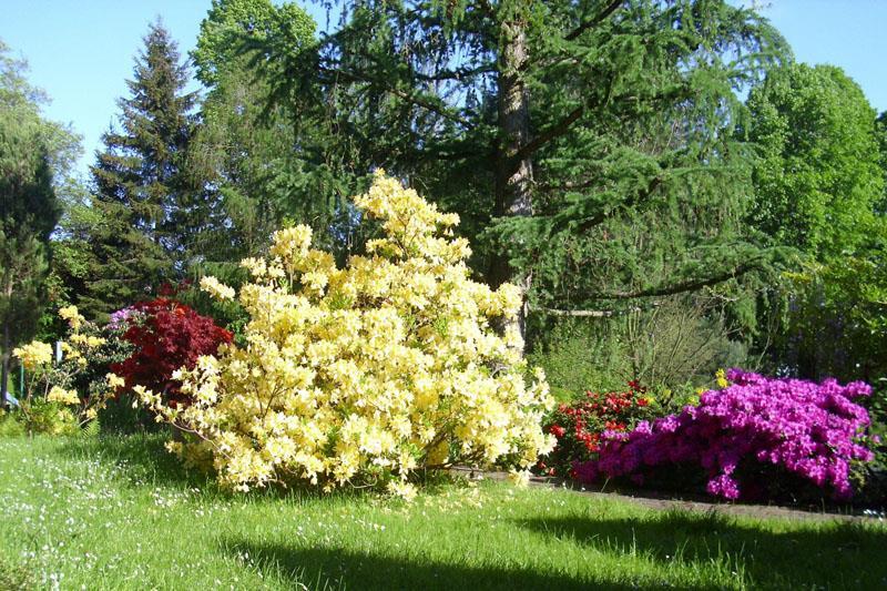 Ferienwohnung Kaulfuß - Garten