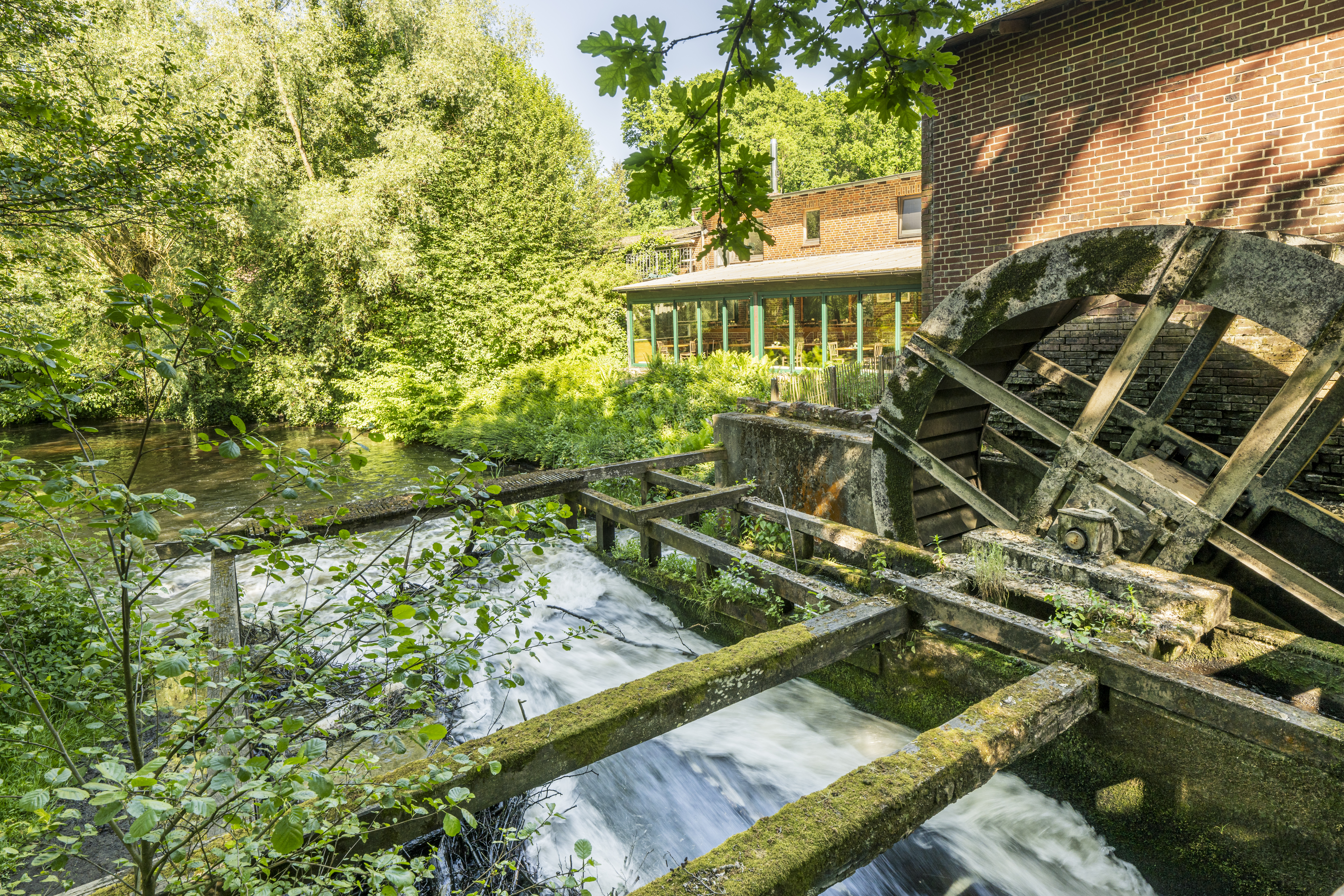 Horster Mühle