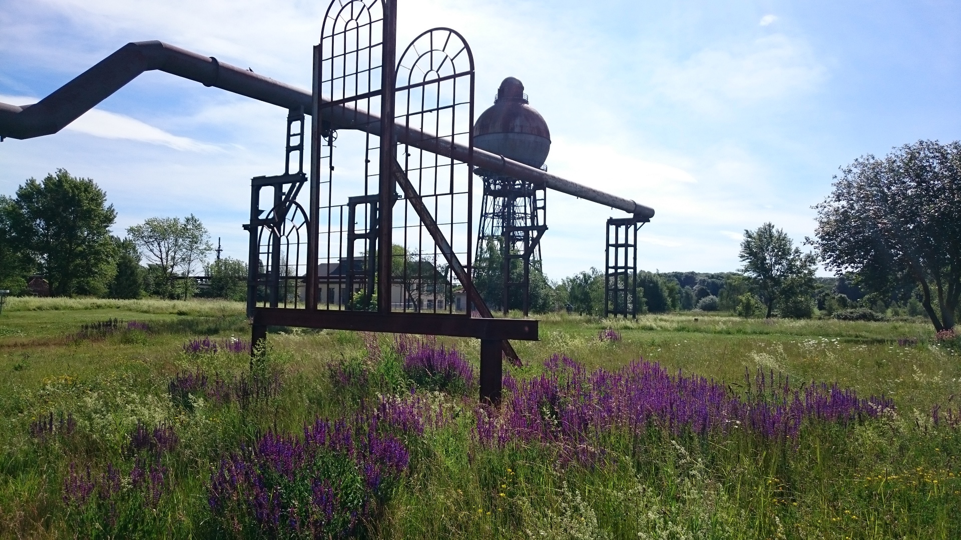 Disc Golf Parcours Industriepark Ilseder Hütte