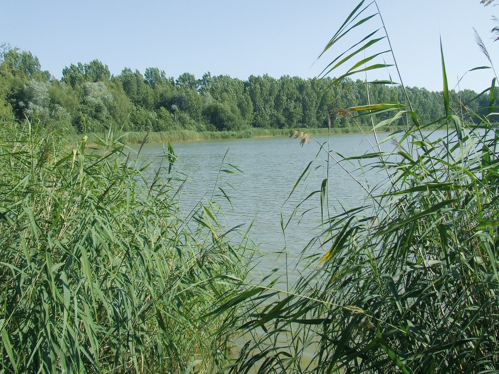 Lengeder Teiche