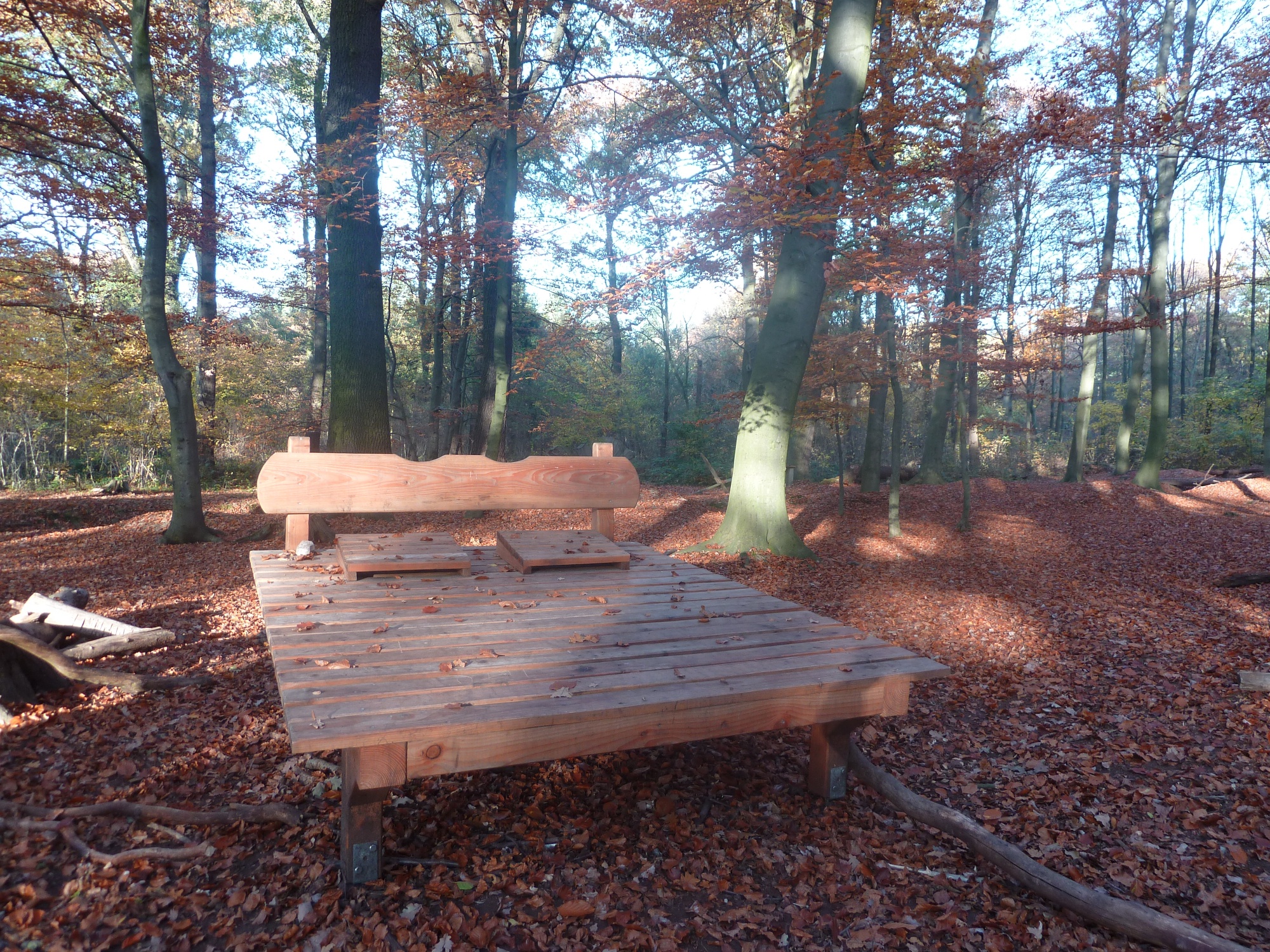 Walderlebnispfad Zweidorfer Holz