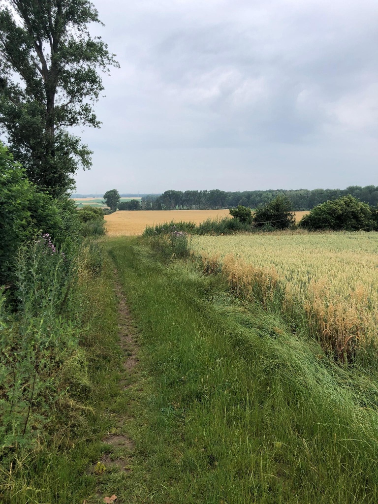 Aussichtsreiches Ilsede - Lieblingsradtour