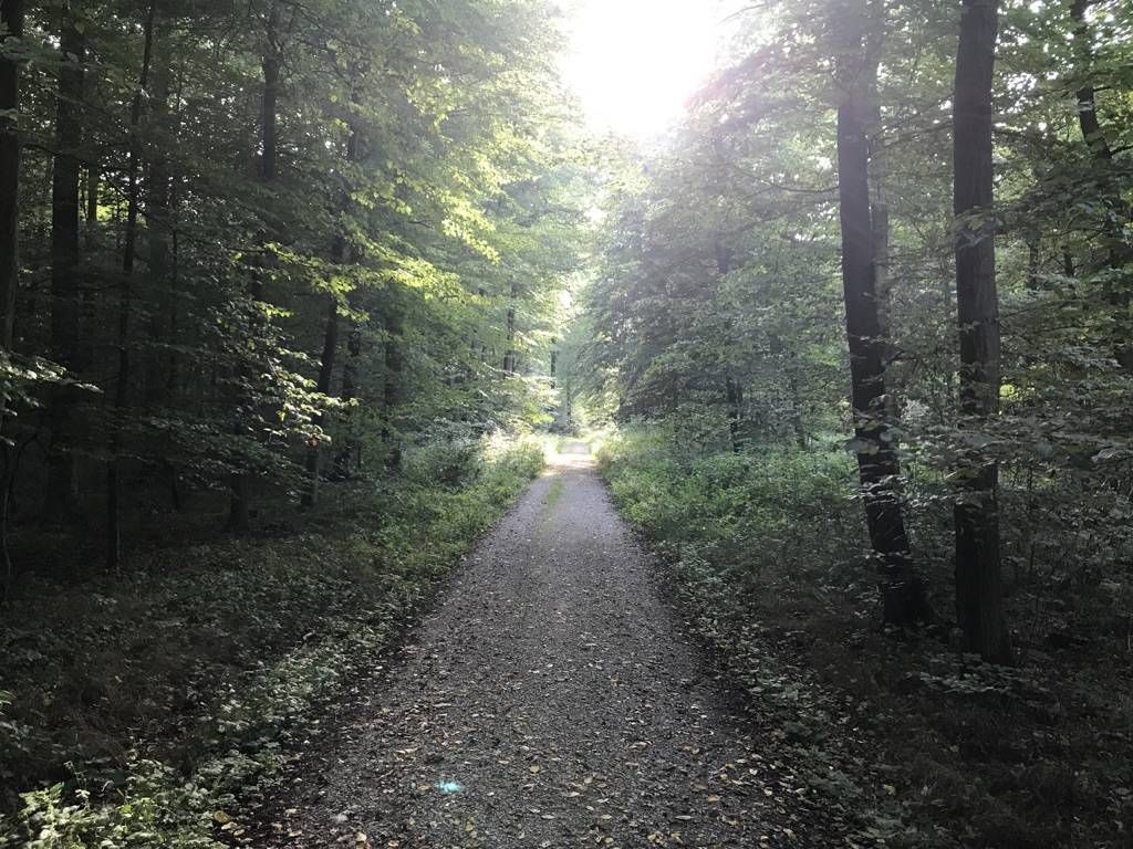 Rundweg mit Extrarunde - Lieblingsradtour