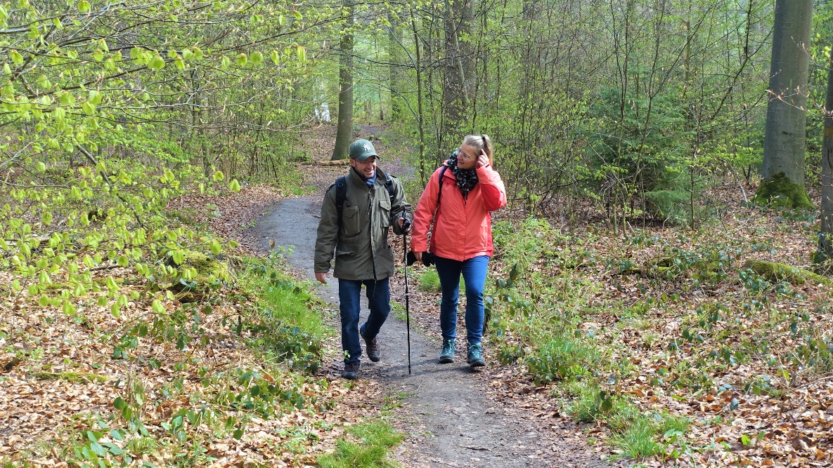 Naturpfad bei Bodenstein