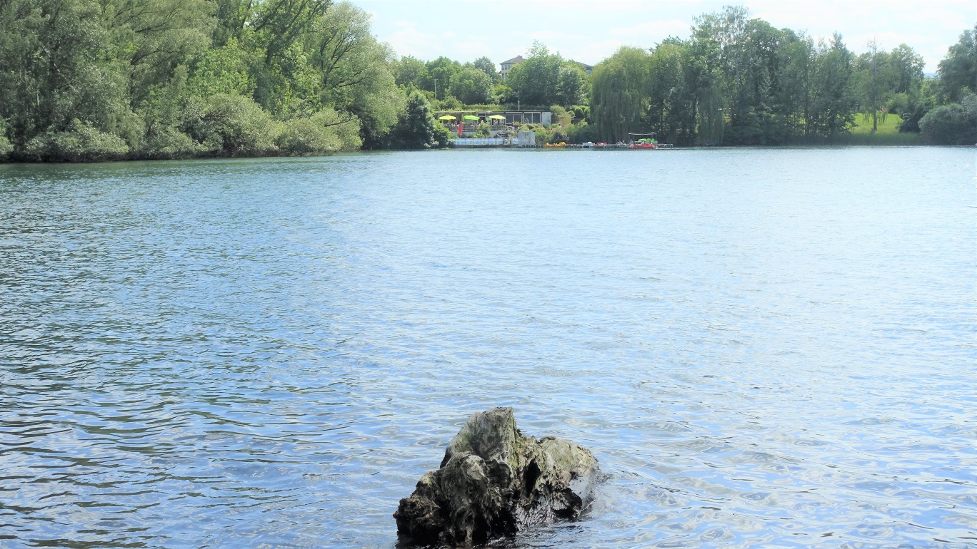 Vienenburger See
