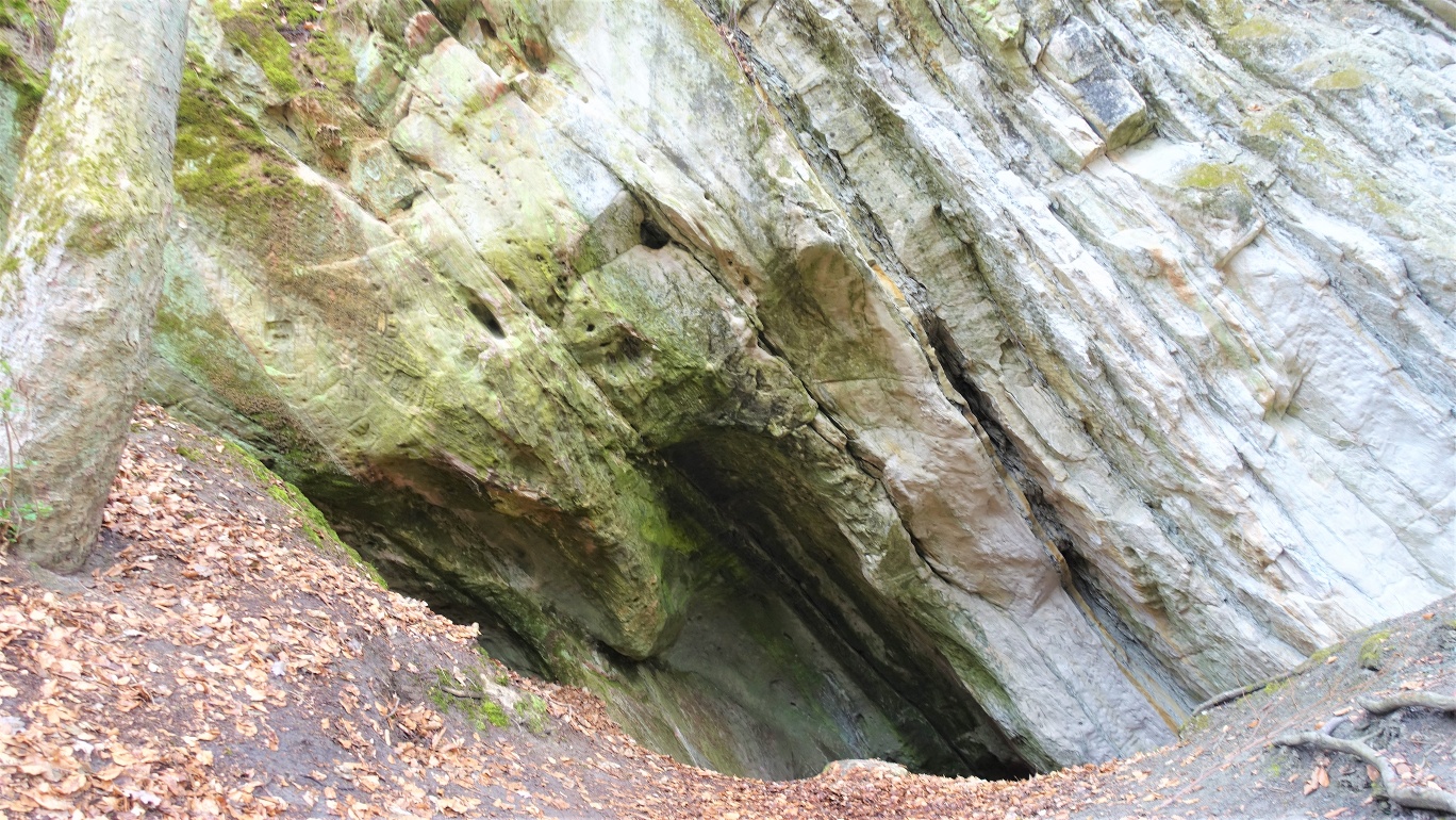 Geopark Erlebnispfad 1 Mittlerer Harly