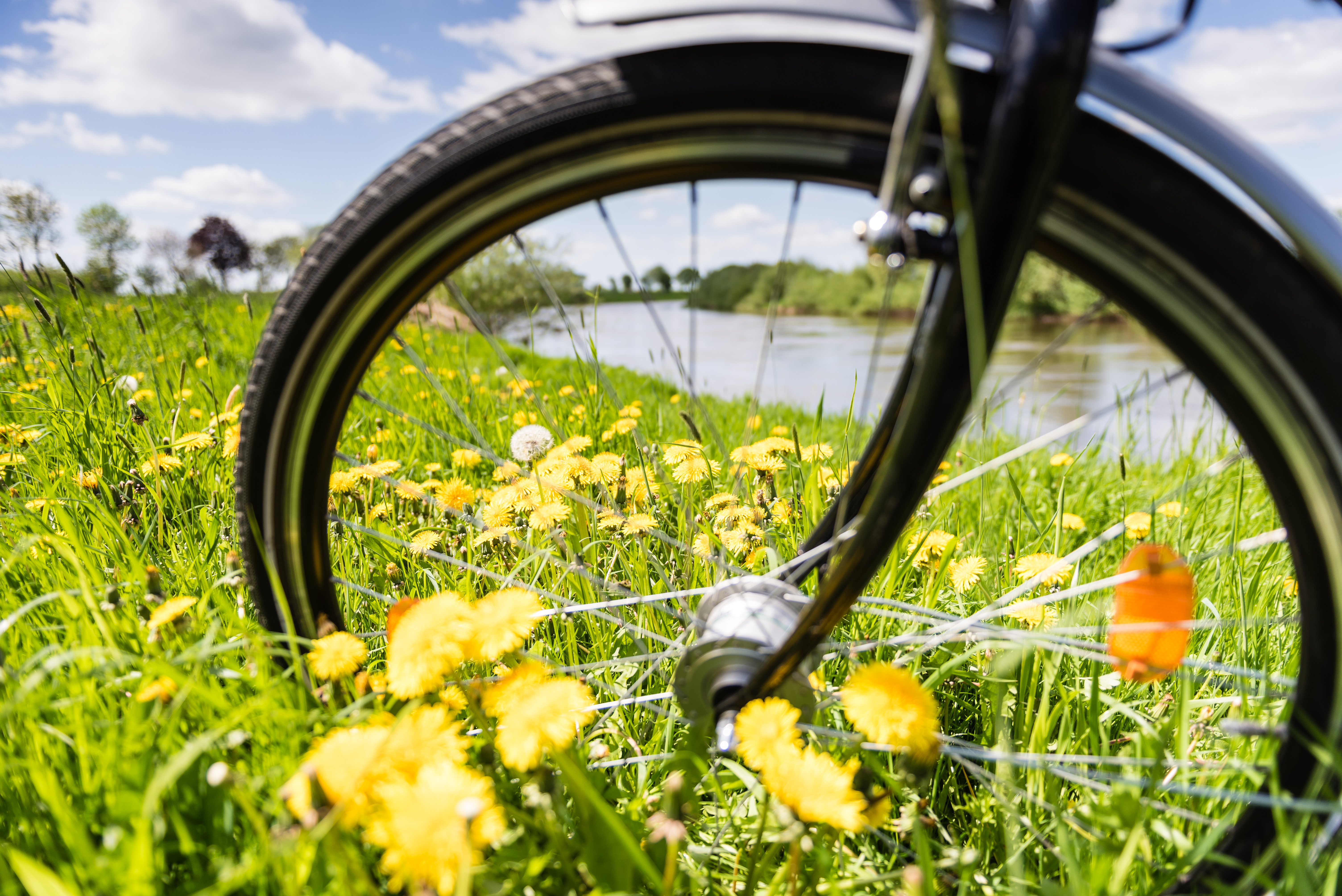 Fahrradverleih Wettig Soltau