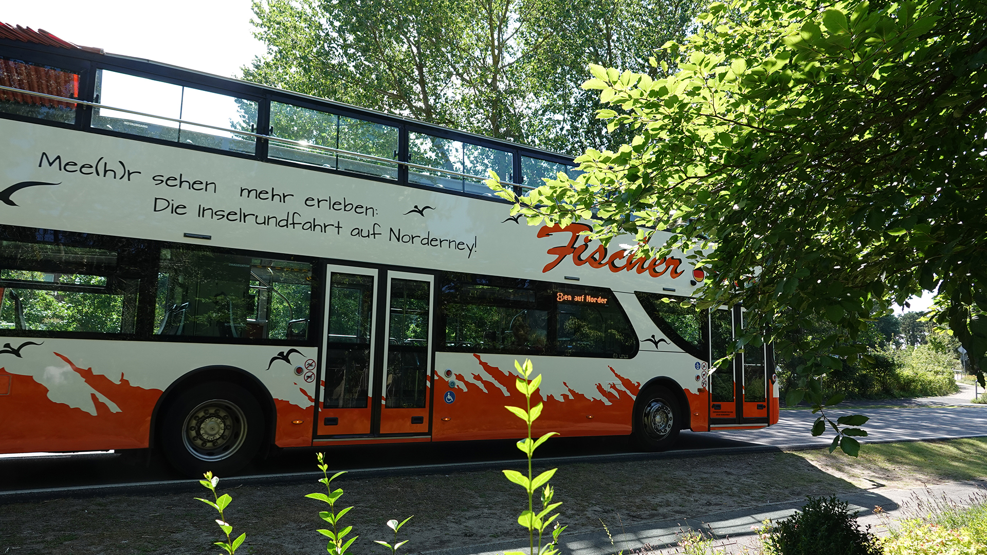 Bus Fischer