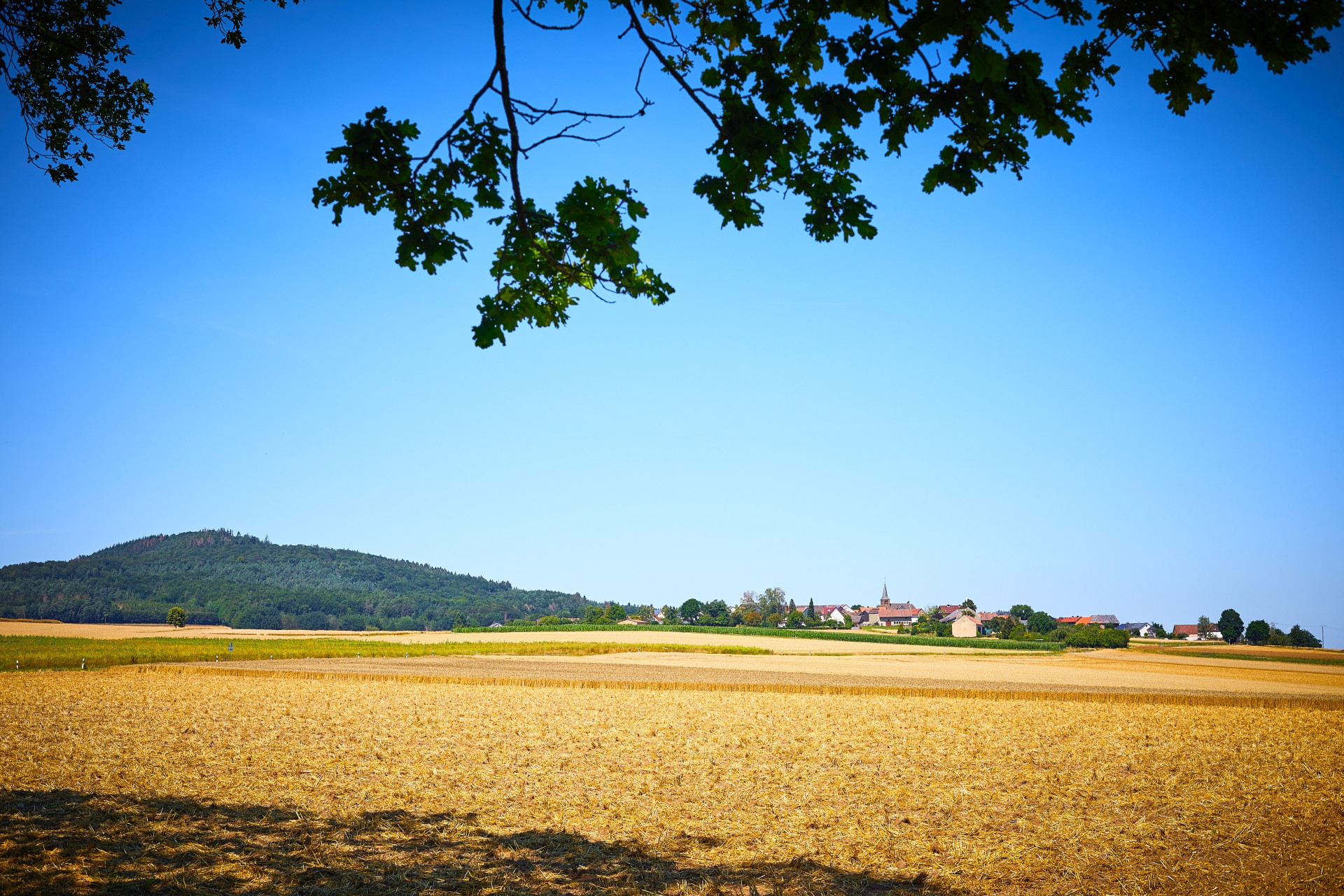 Altenburg bei Römersberg_Gemeinde Neuental
