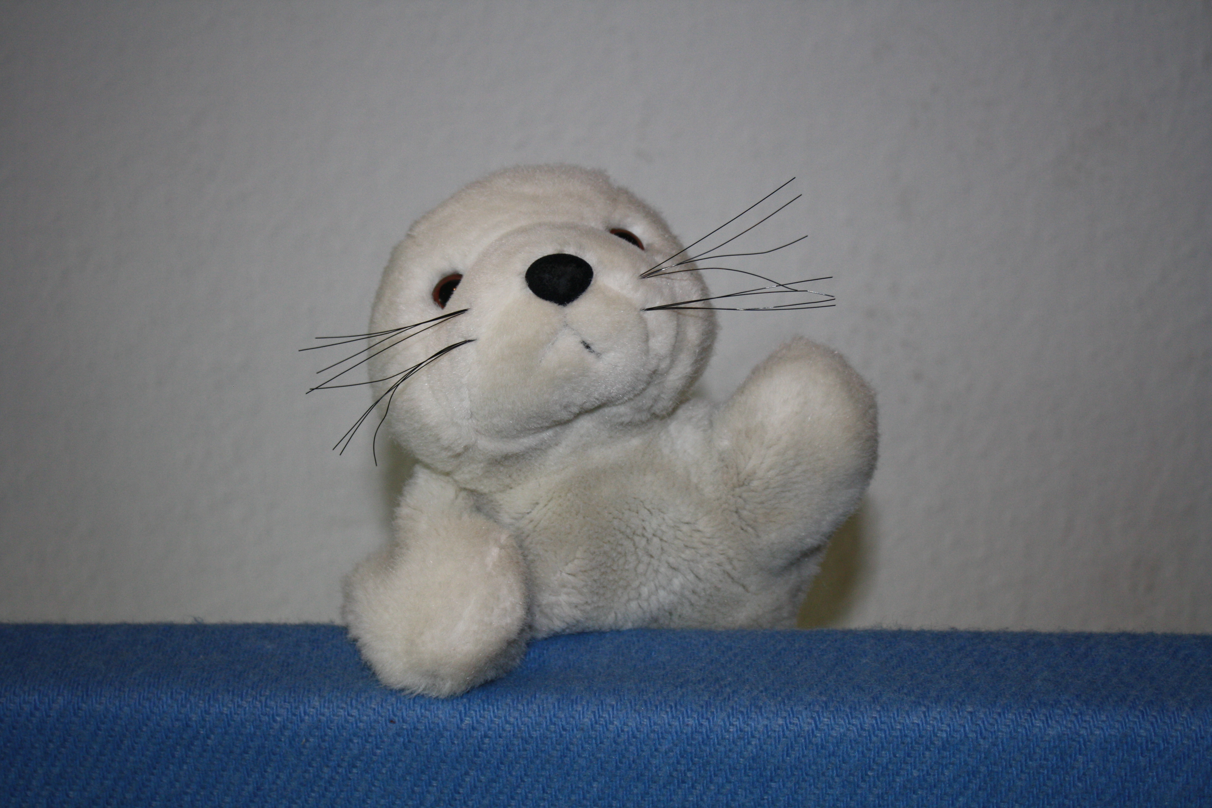 Kinderprogramm - Lasse der kleine Seehund.JPG