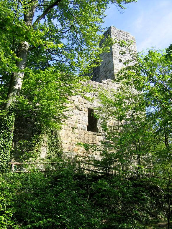 Rund um Eibensbach