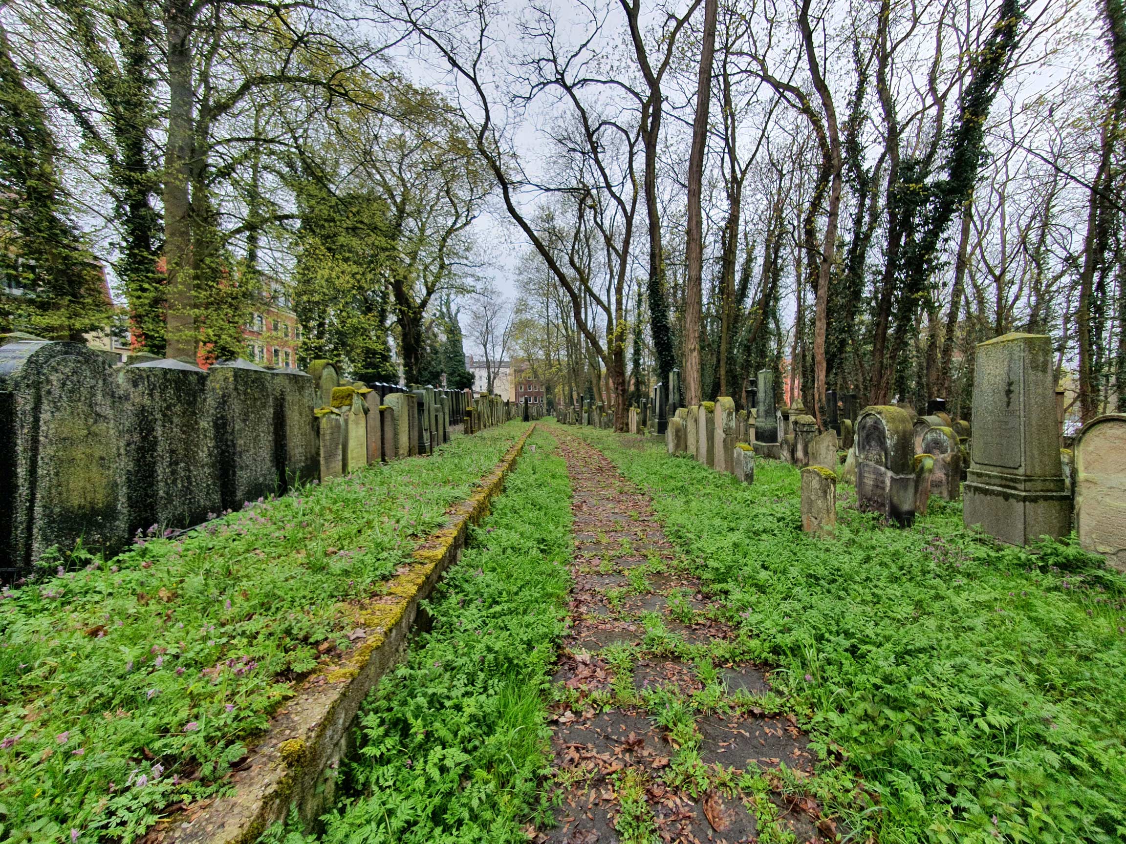 Alter Jüdischer Friedhof - 2