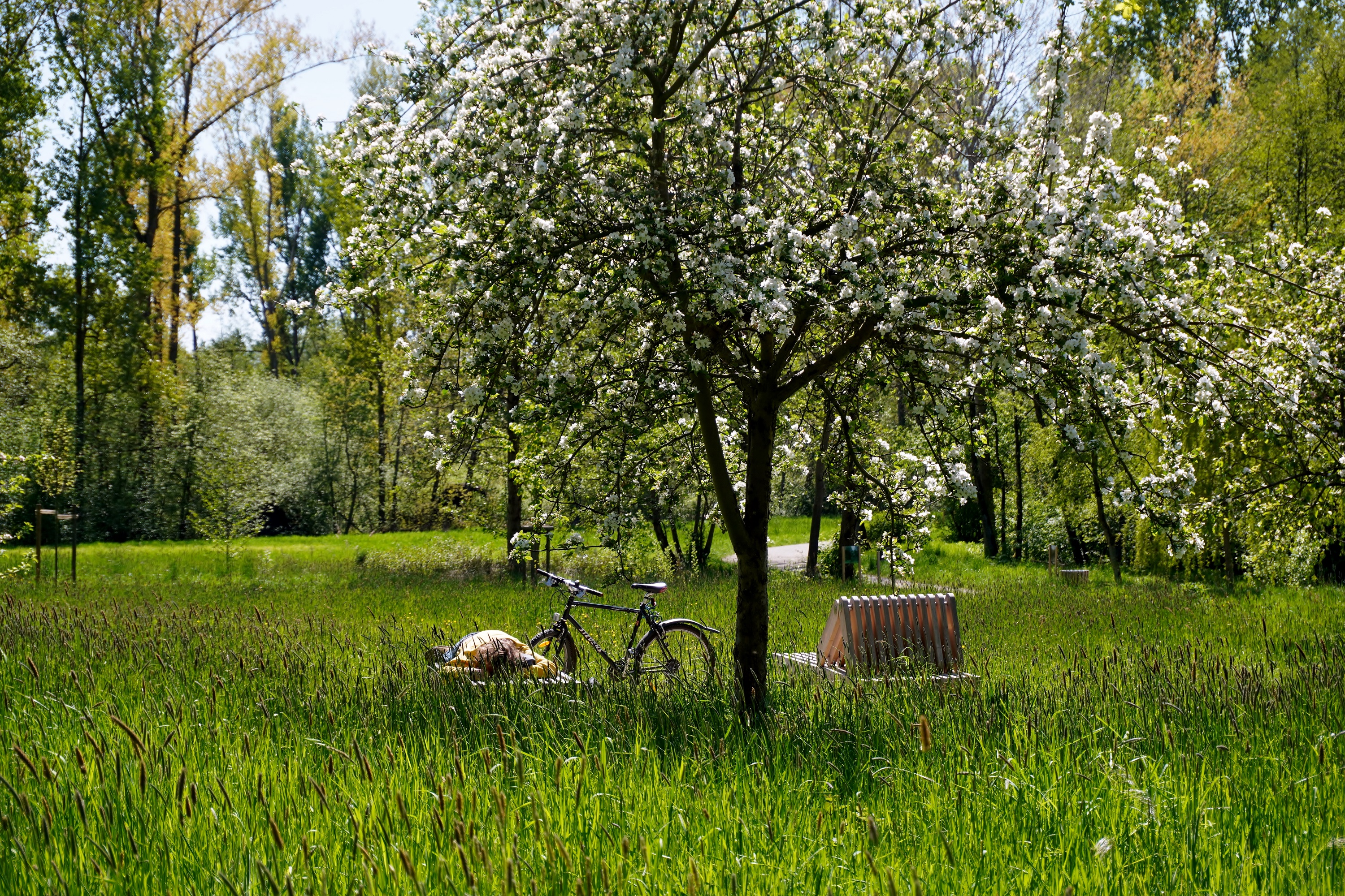 Reisegarten Stiftspark Bassum