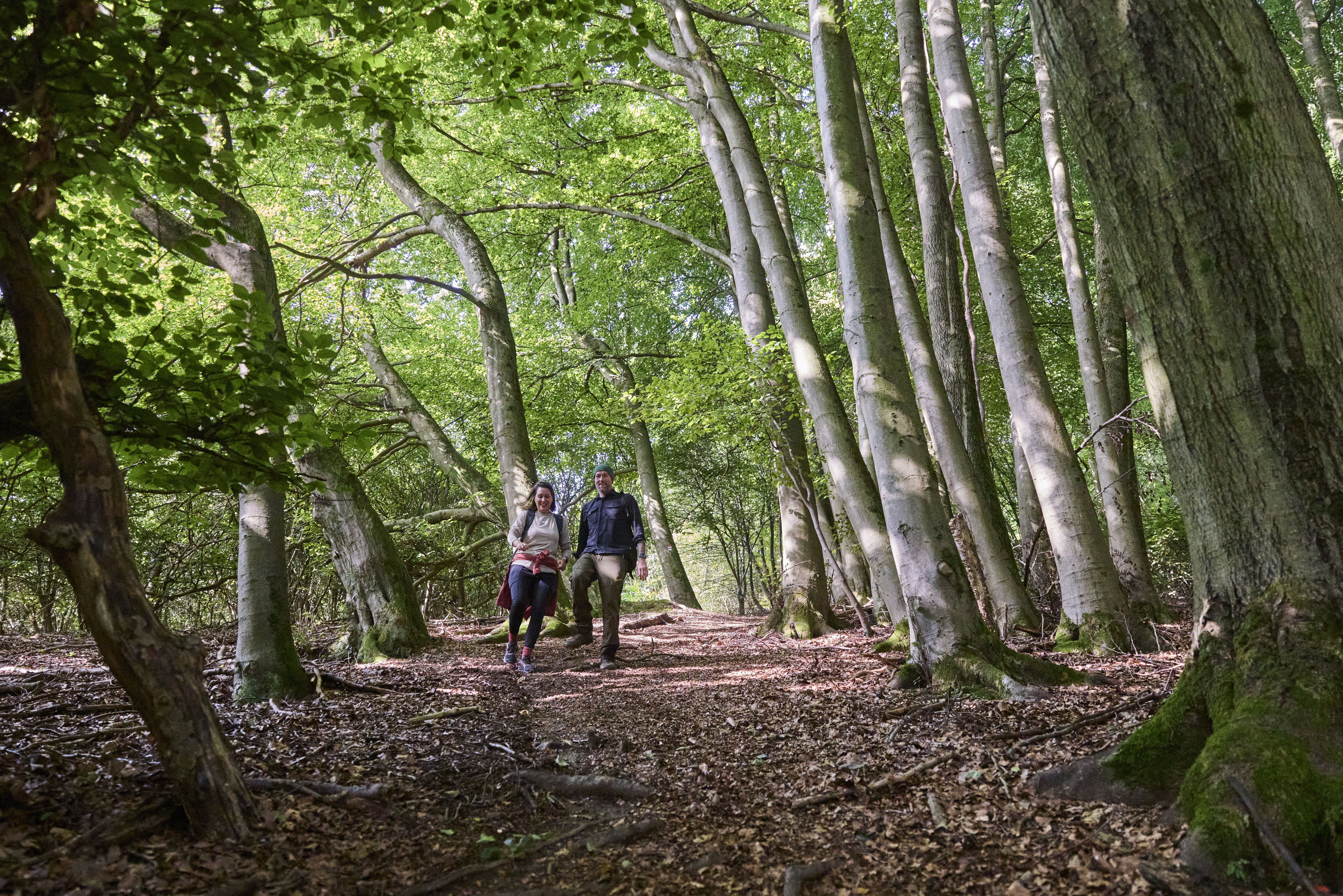 Kalletal-TallerBergrunde-TeutoburgerWald-LTMGmbH-HirschmeierMediaGmbH&CoKG_072.jpg