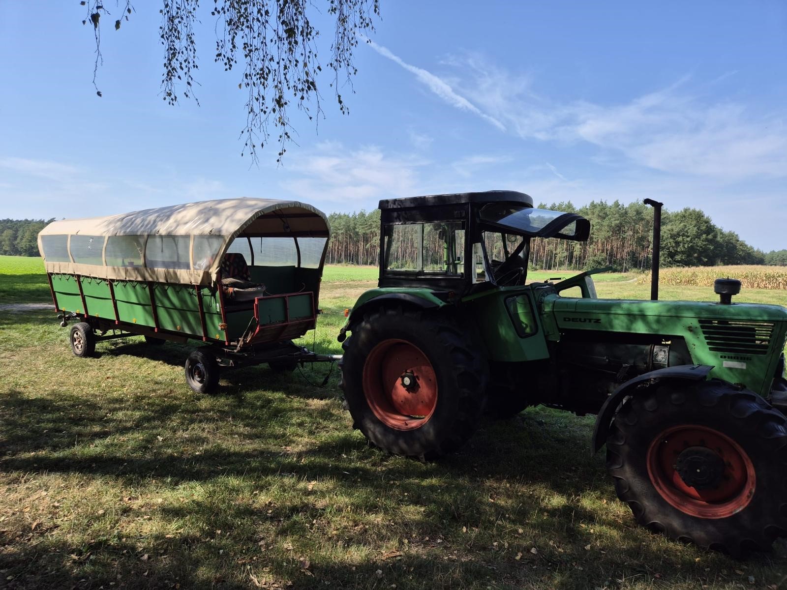Kutschfahrten Winsen (Aller)
