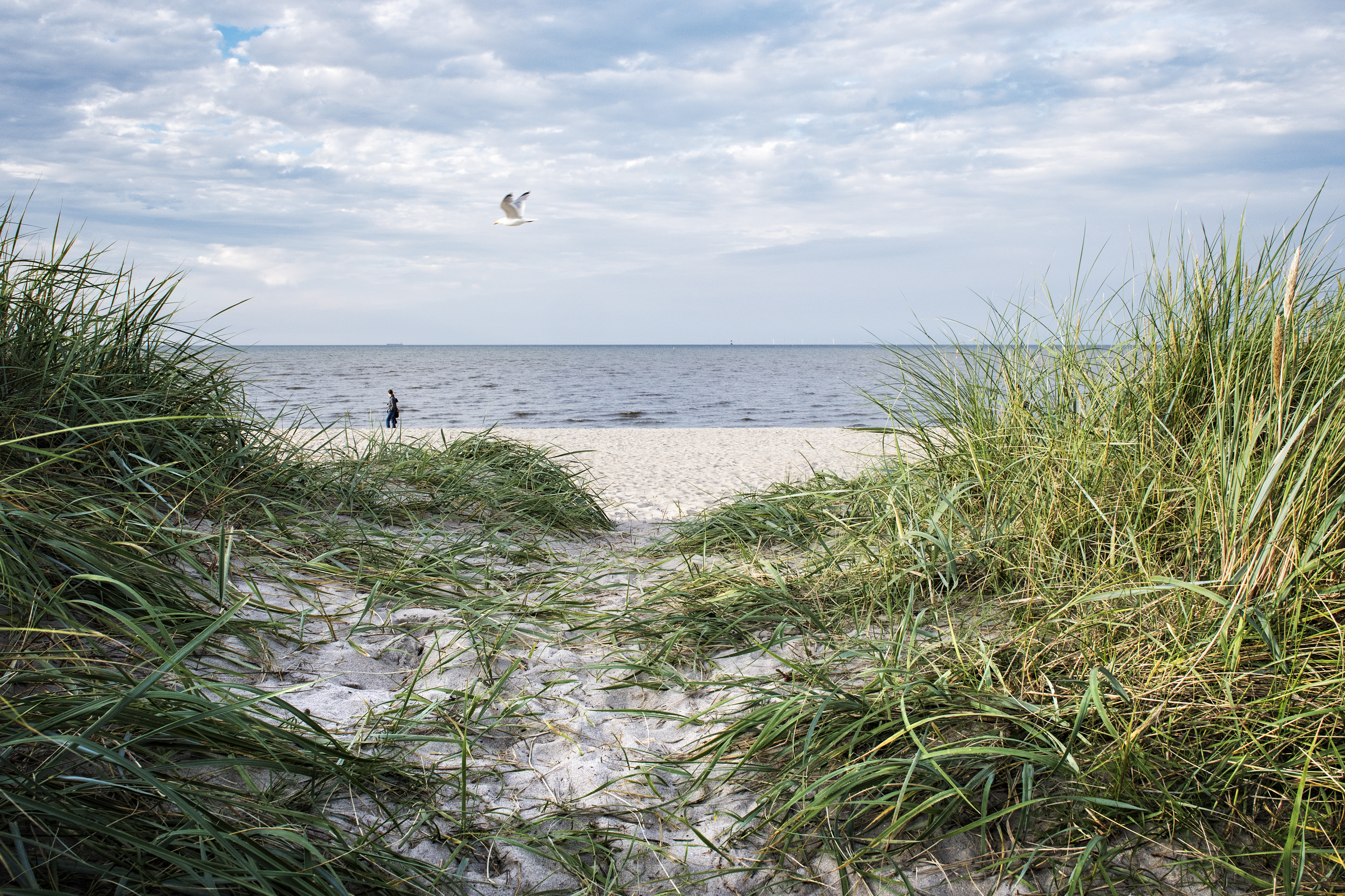 Wangerland (OT Horumersiel-Schillig)