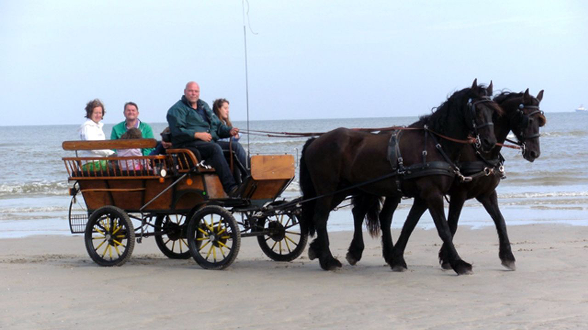 Kutschfahrten Norderney