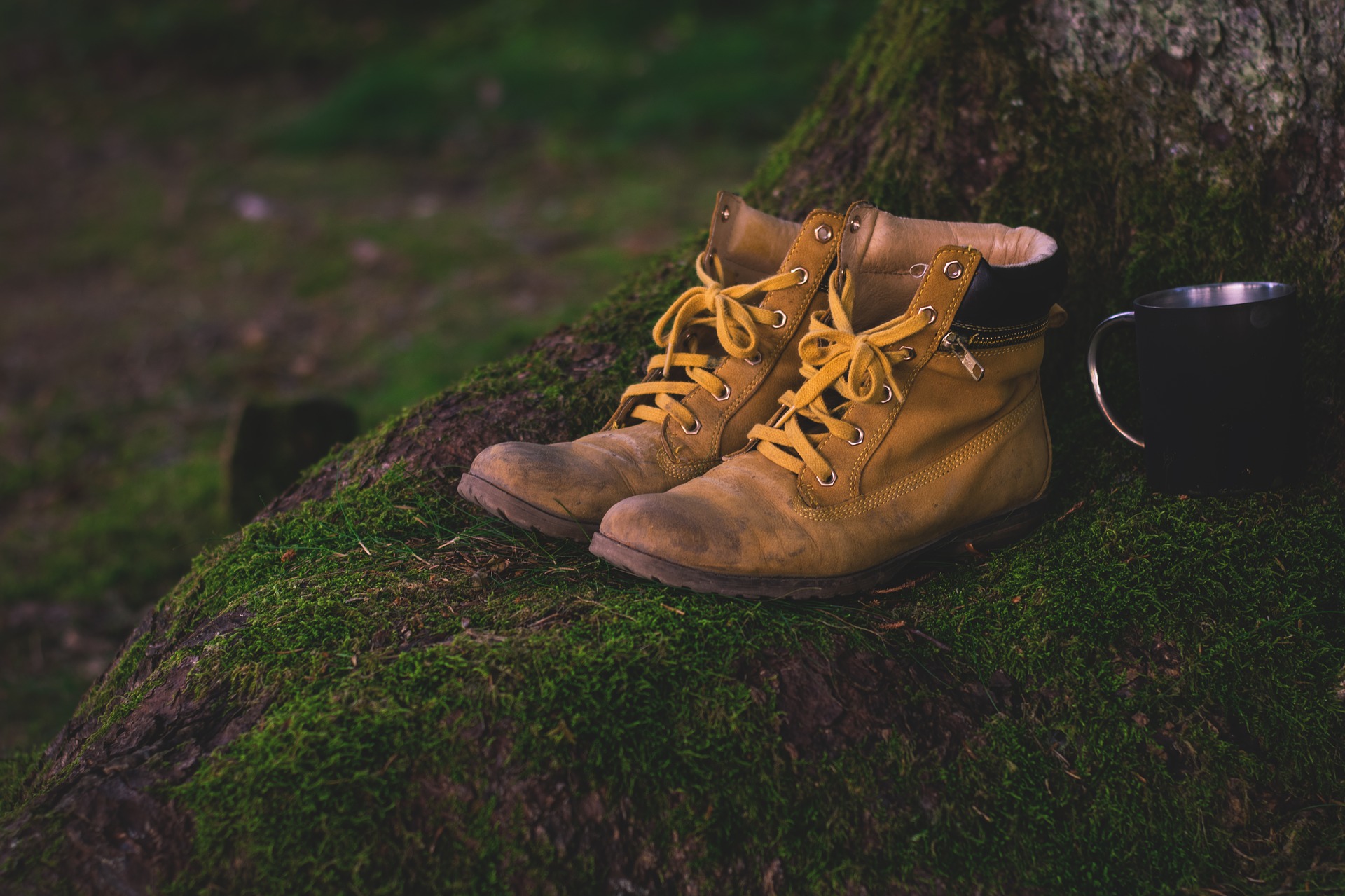Wandern mit Kneipp
