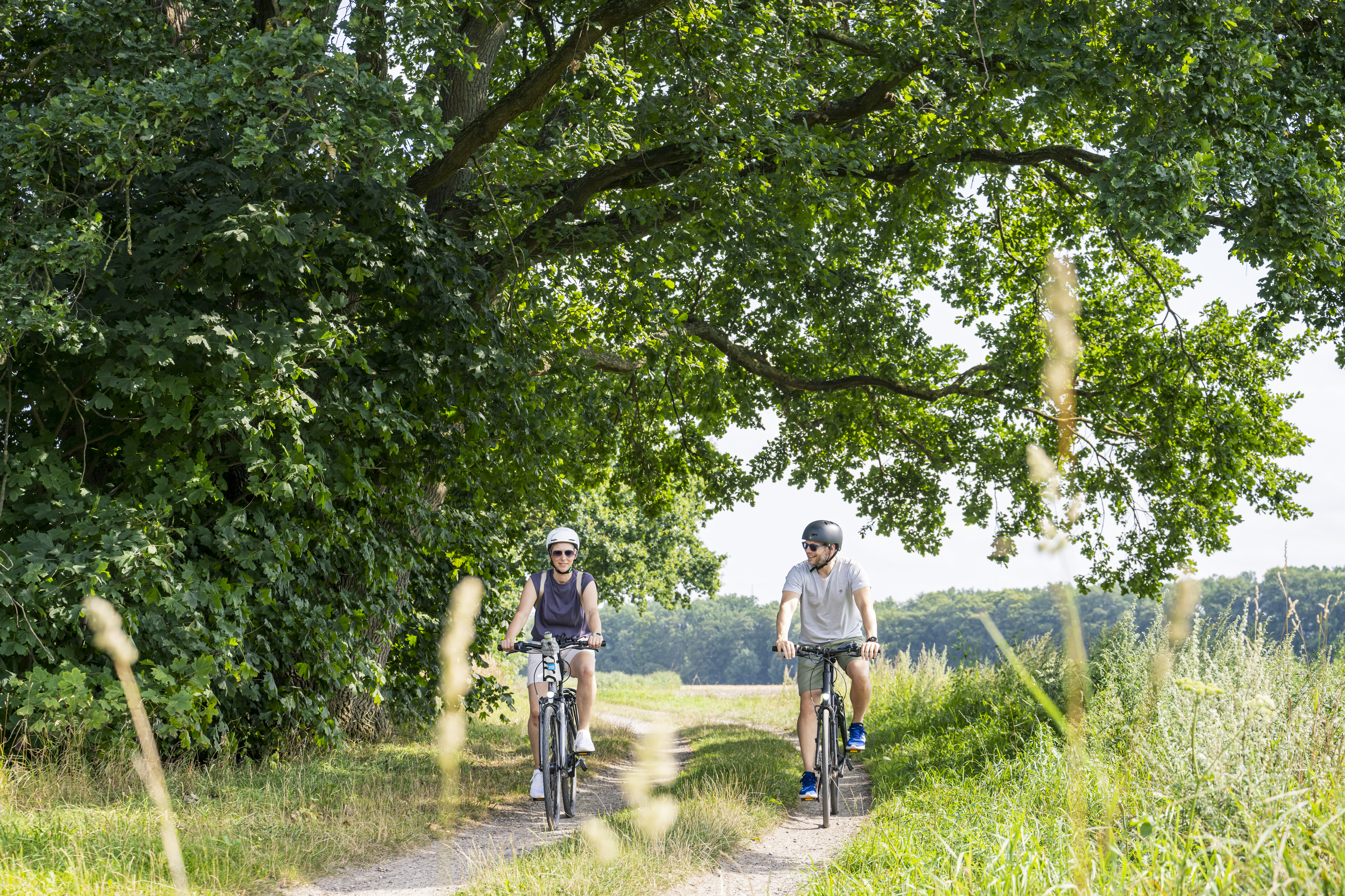 Premiumroute Lüneburg - Adendorf - Scharnebeck