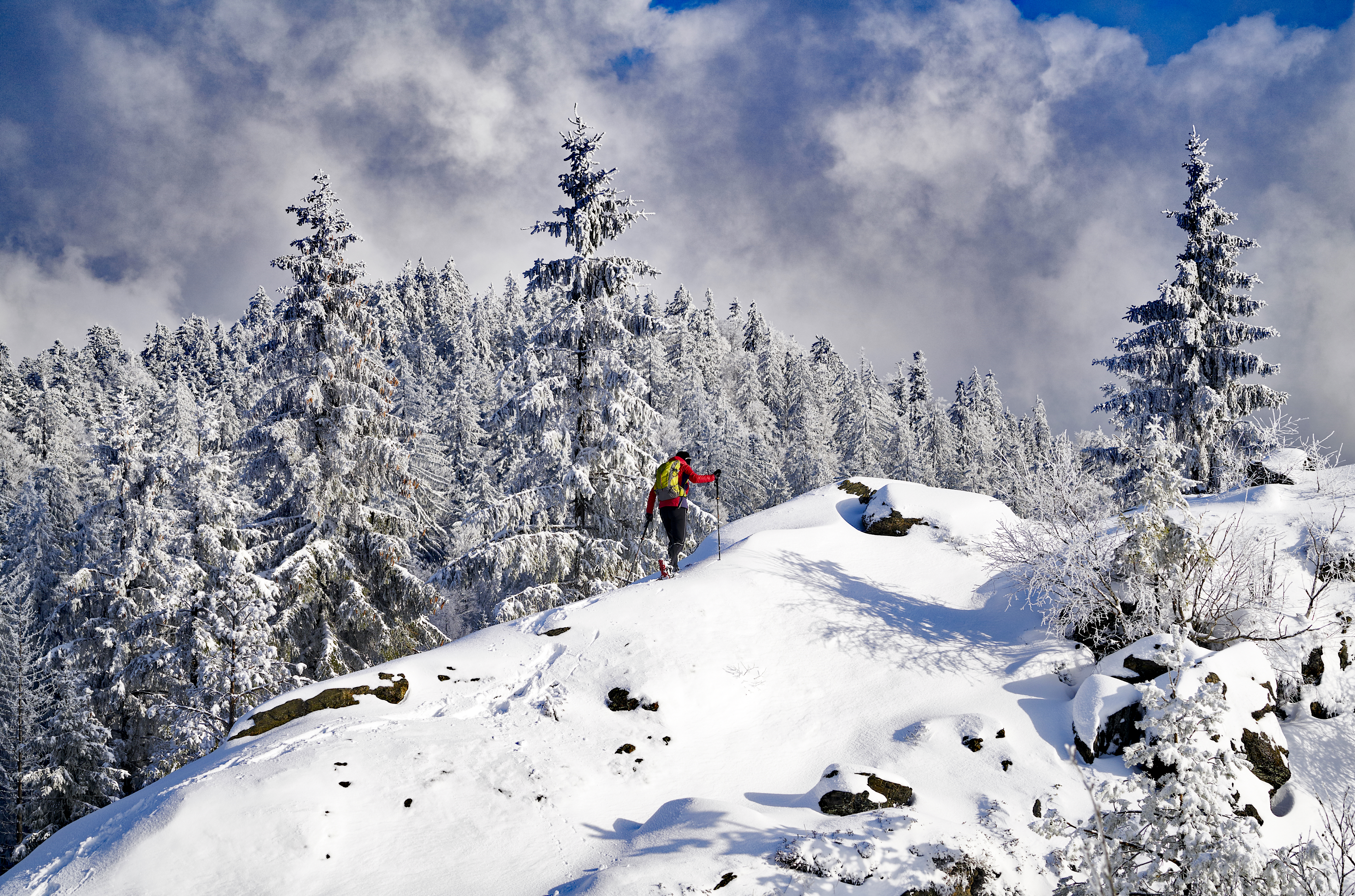 Winterlicher Osser - Schneeschuhwanderung zum Osser