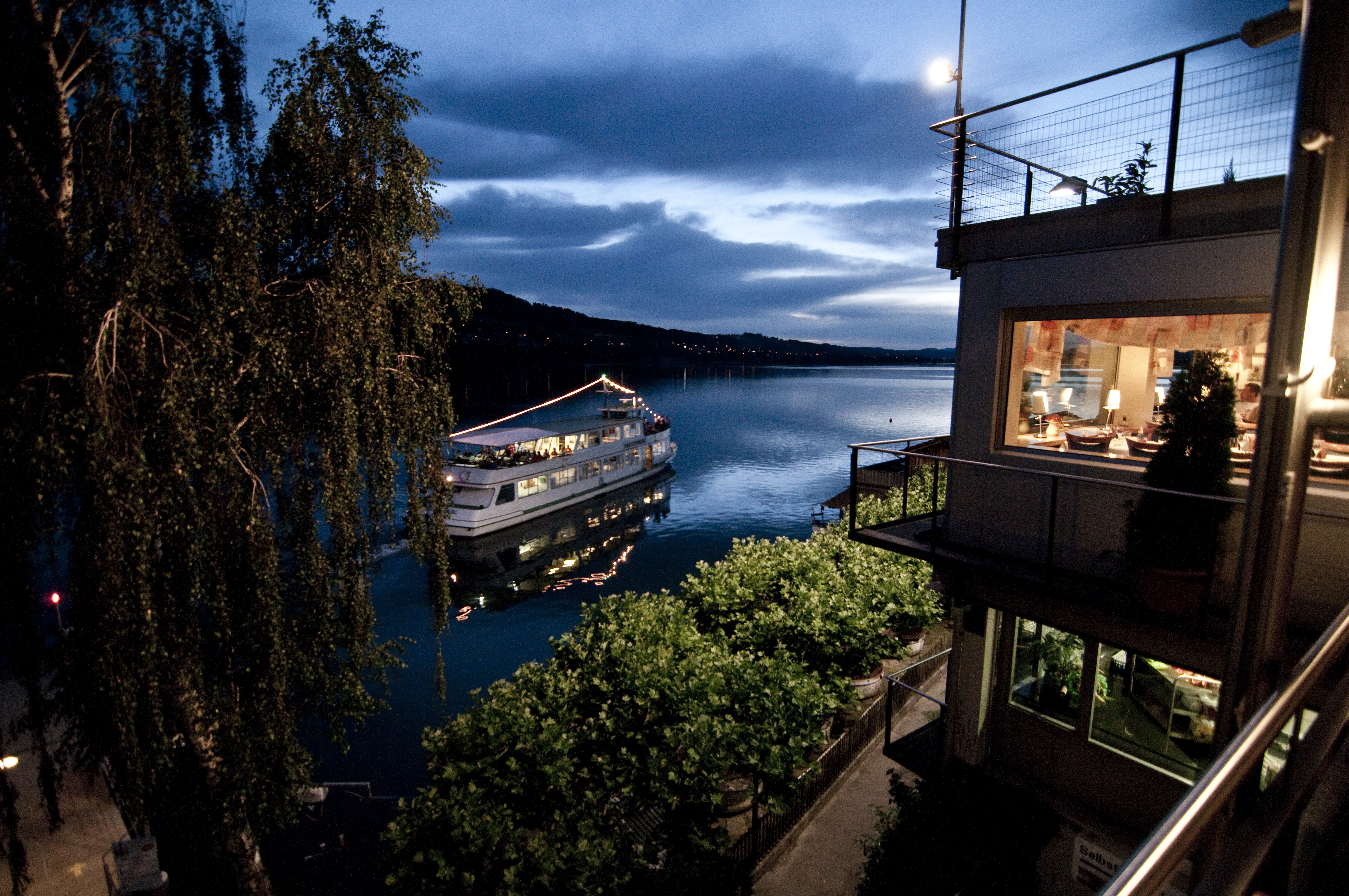 Meisterschwanden_Delphin_Abendstimmung Meisterschwanden_Delphin_Abendstimmung