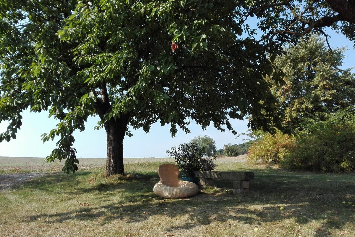 Idylle unterm Kirschbaum