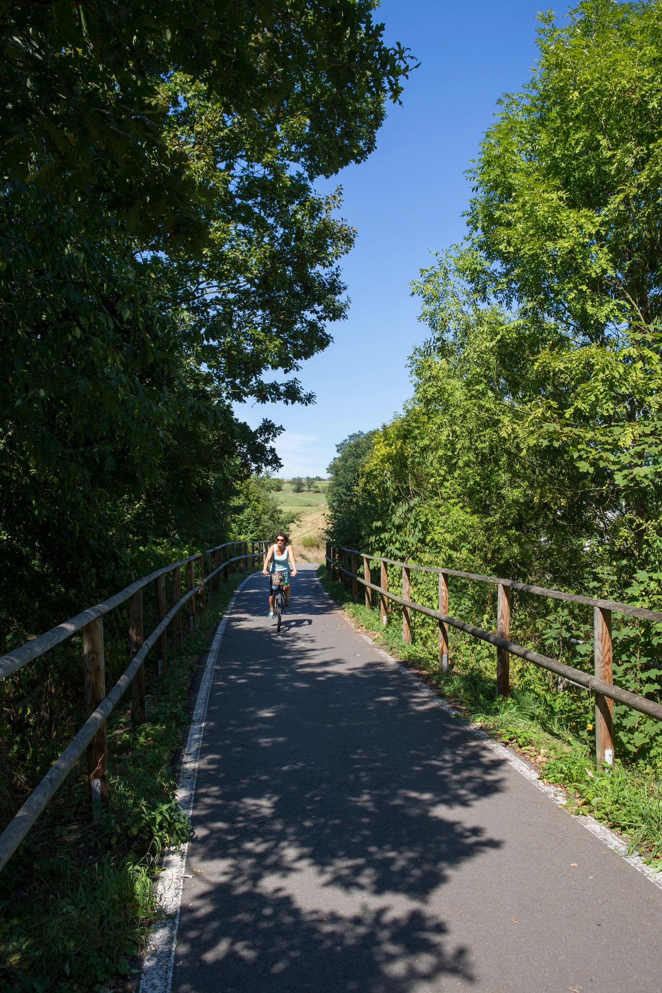Durch die Streuobstwiesen bei Bad Köstritz – Motiv