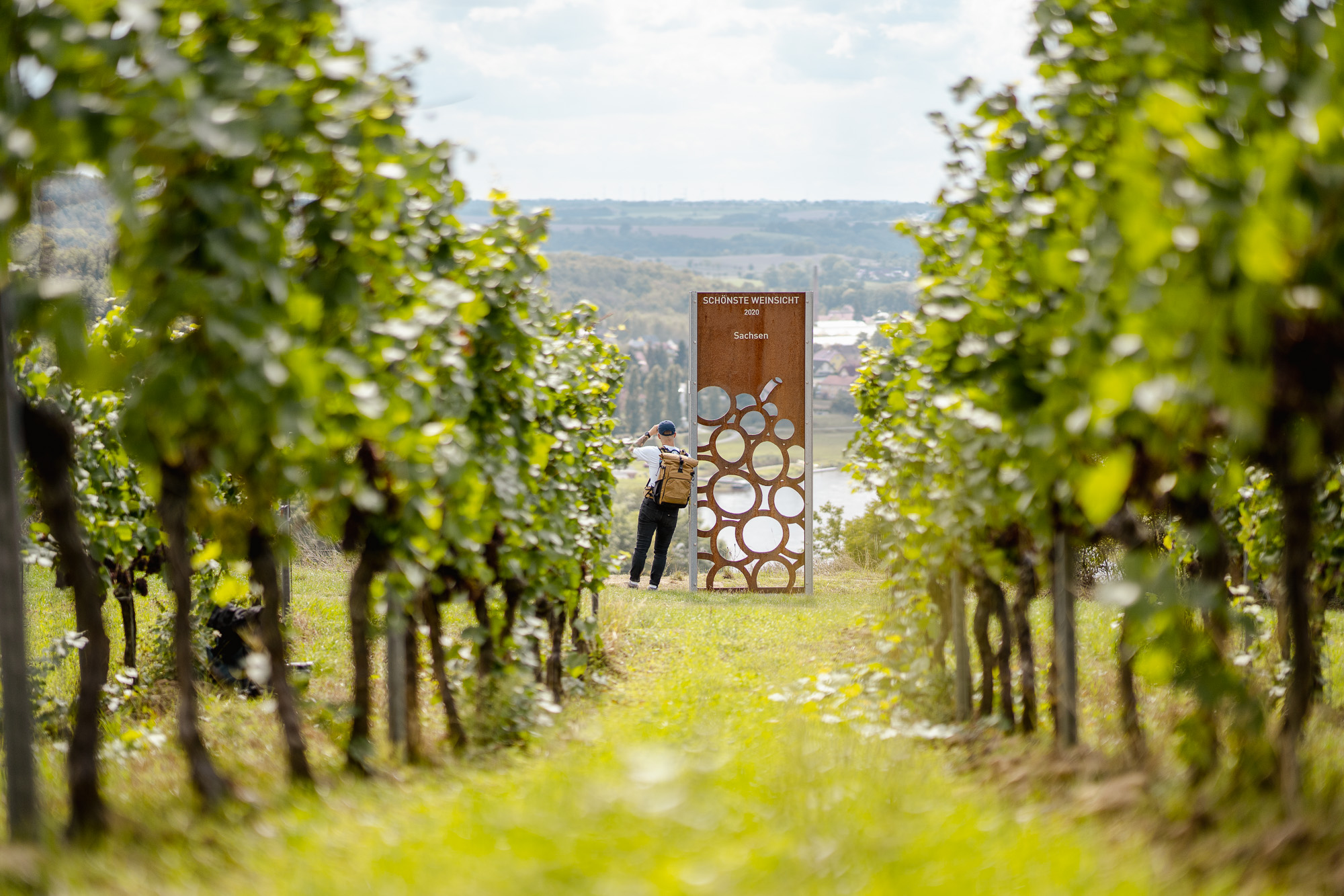 Sächsischer Weinwanderweg – An jedem Etappenziel ein guter Tropfen – Motiv
