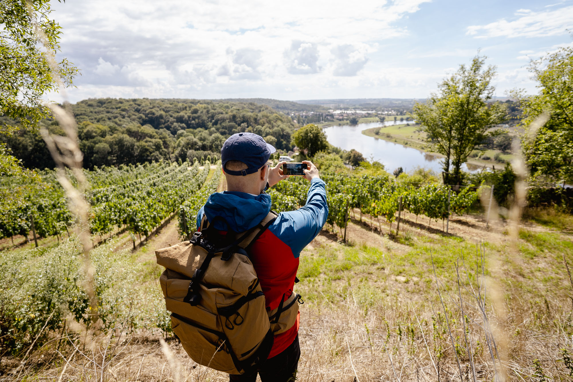 Seußlitzer Weinsichttour – Wanderliebling Dresden Elbland – Motiv