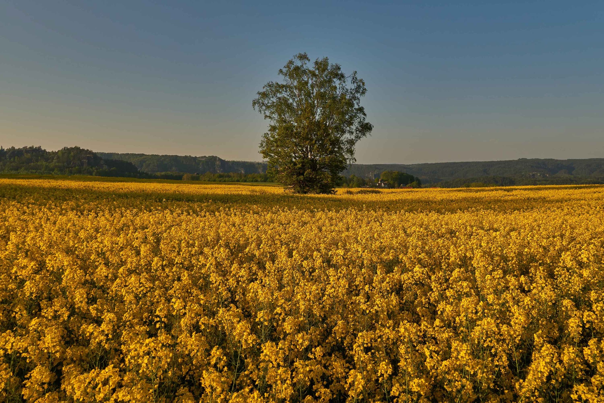 Malerweg (alle Etappen /offizielle Version) – Motiv