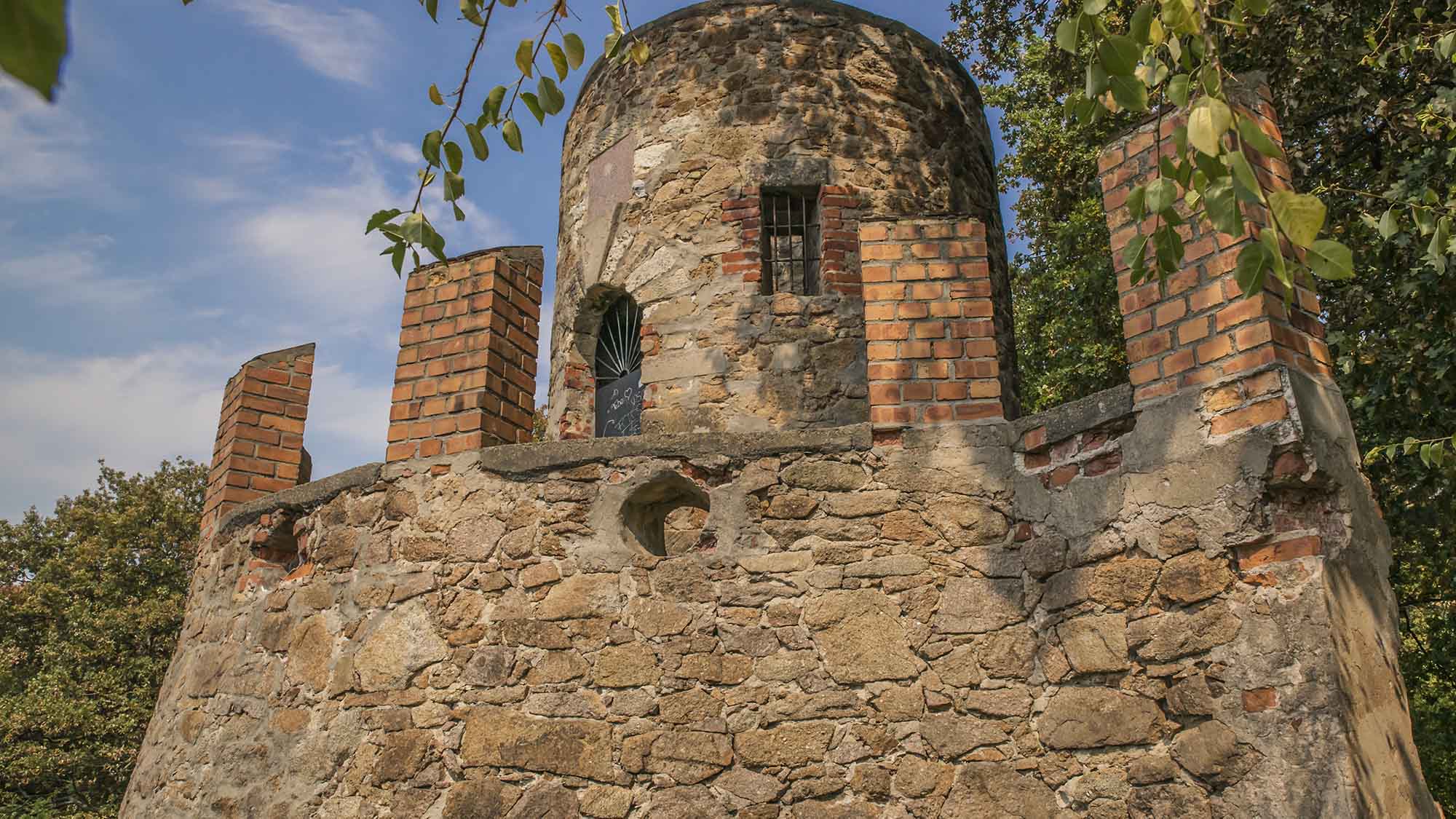 Sächsischer Weinwanderweg – Etappe 4 – Von Radebeul-Zitzschewig nach Oberau – Motiv