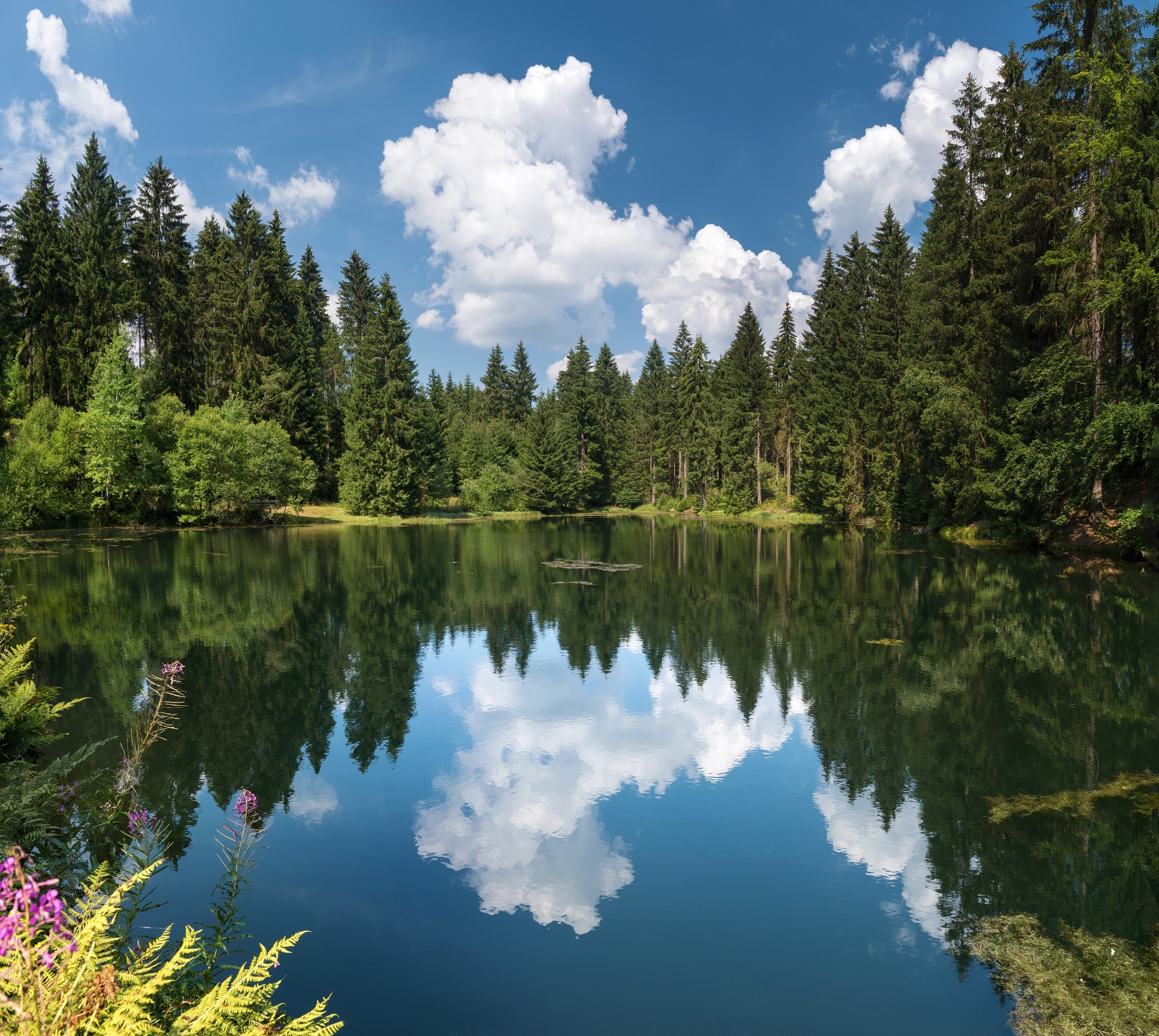 Unterer Floßteich – Motiv
