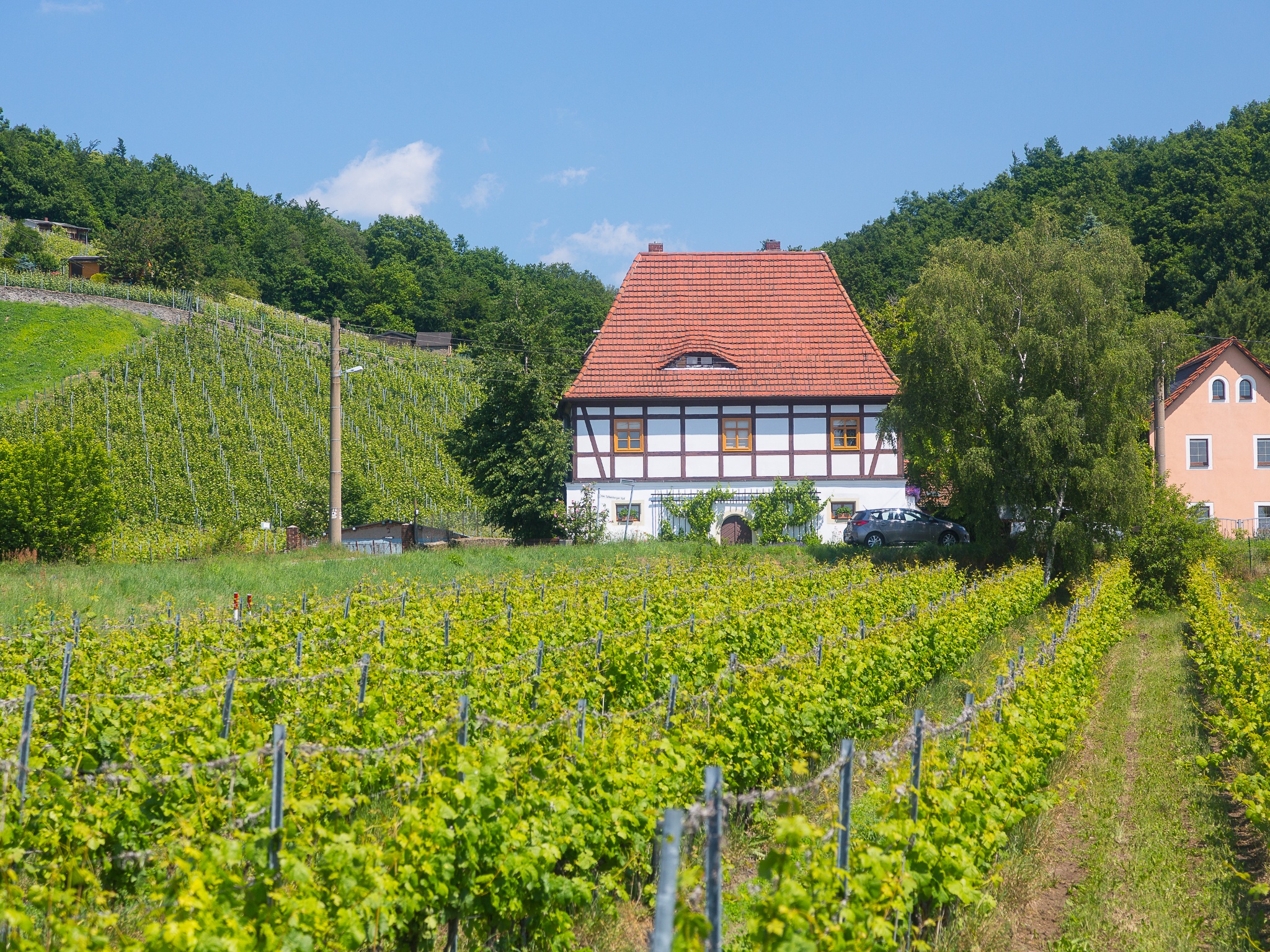 Sächsischer Weinwanderweg – Etappe 4 – Von Radebeul-Zitzschewig nach Oberau – Motiv