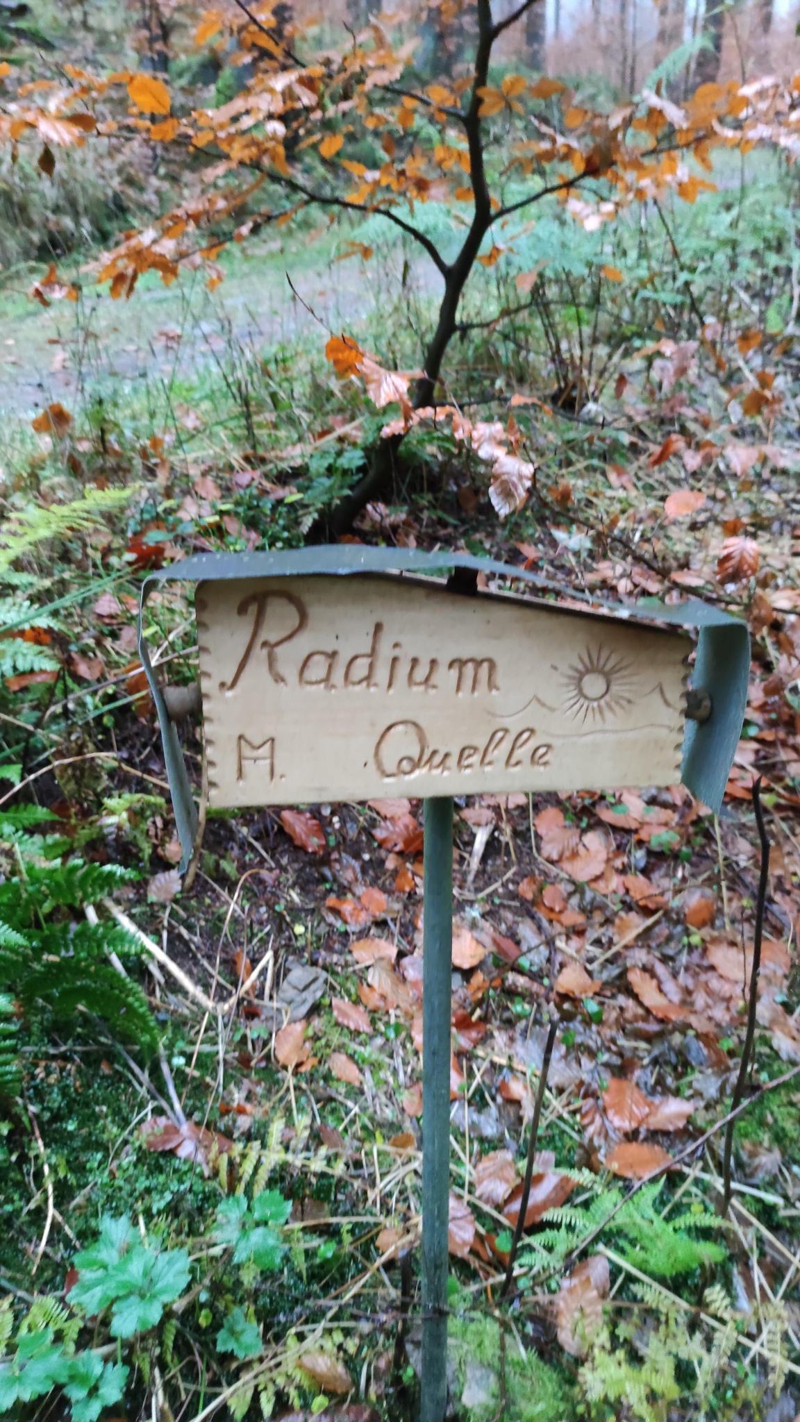 Radiumquelle – Motiv