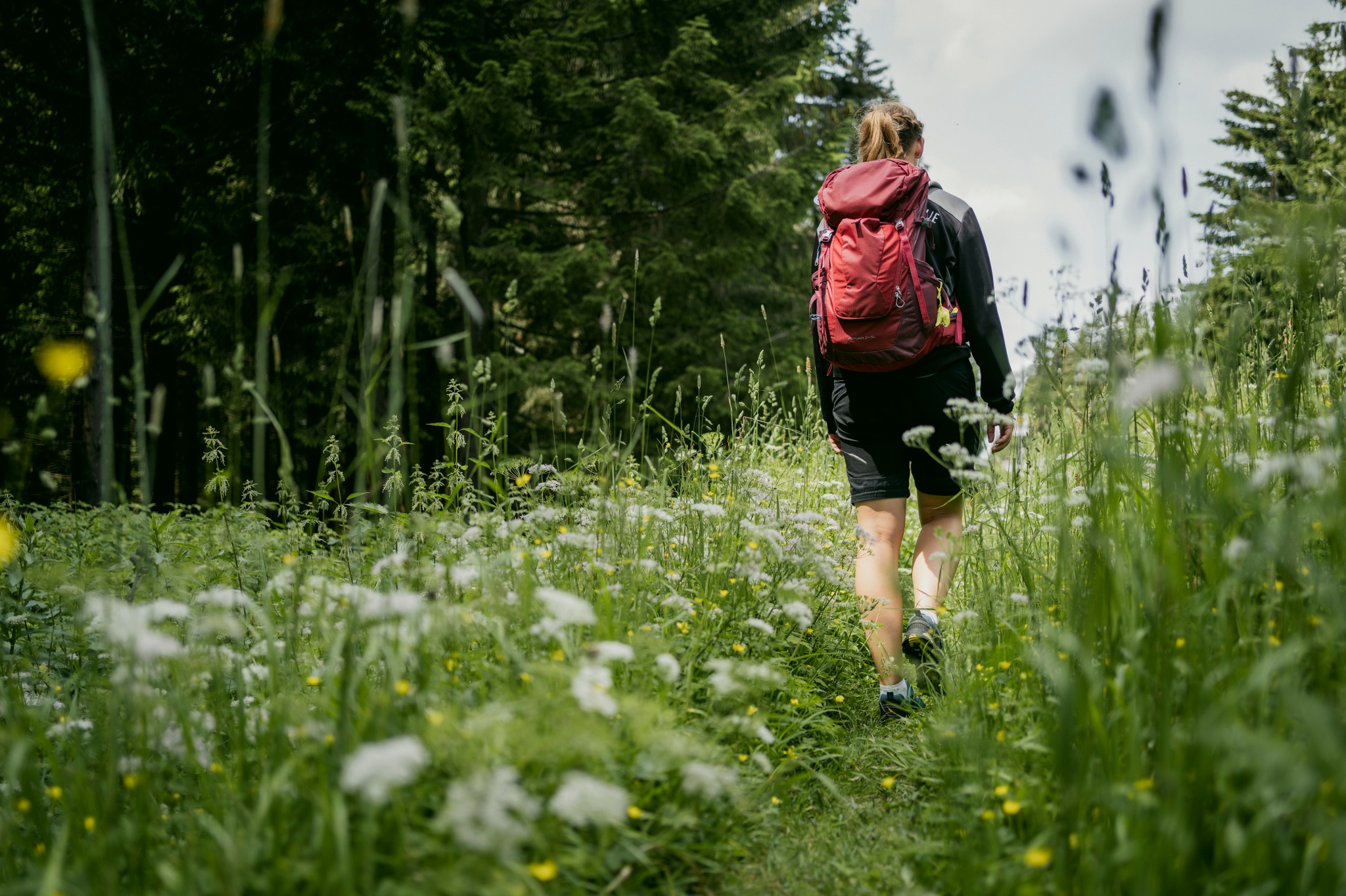 Zwischen Himmel und Tal in Breitenbrunn – Motiv