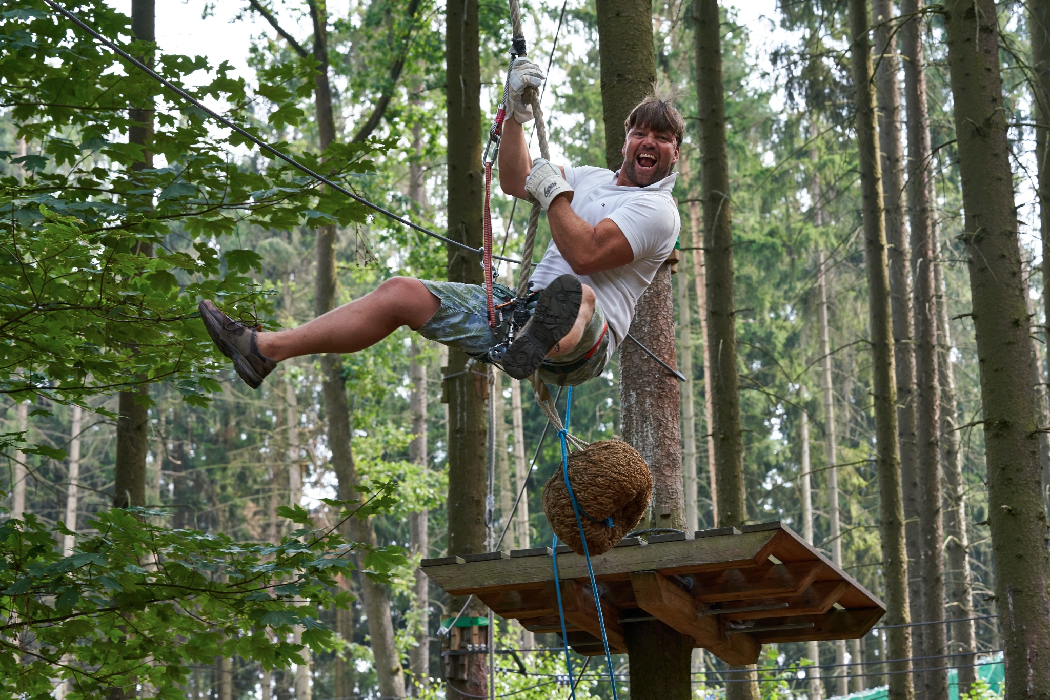 Kletterwald Pöhl – Motiv