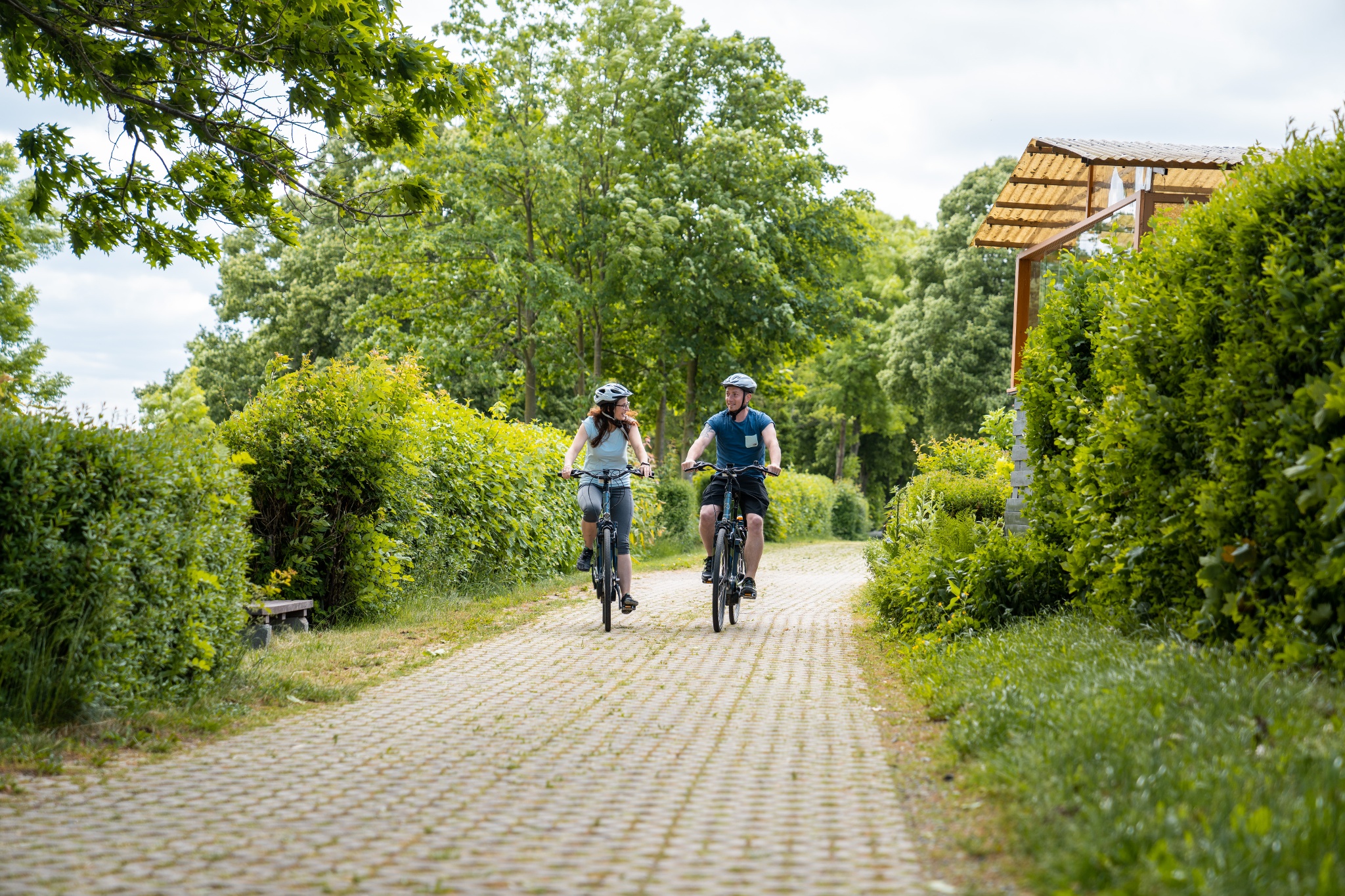 Talsperre Pöhl: Fahrradverleih am Campingplatz Gunzenberg**** – Motiv