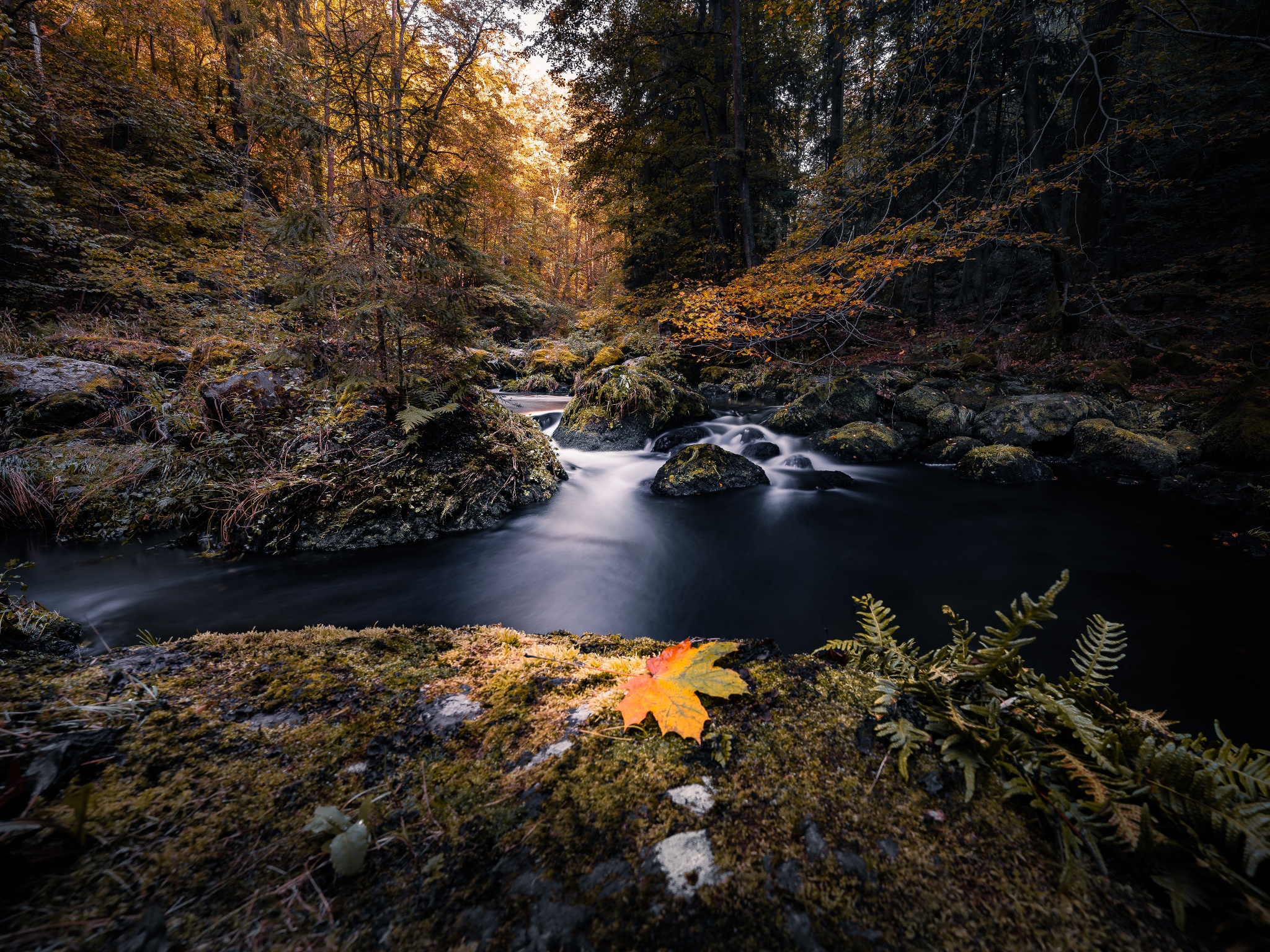 Naturschutzgebiet Triebtal/ Eisenberg – Motiv