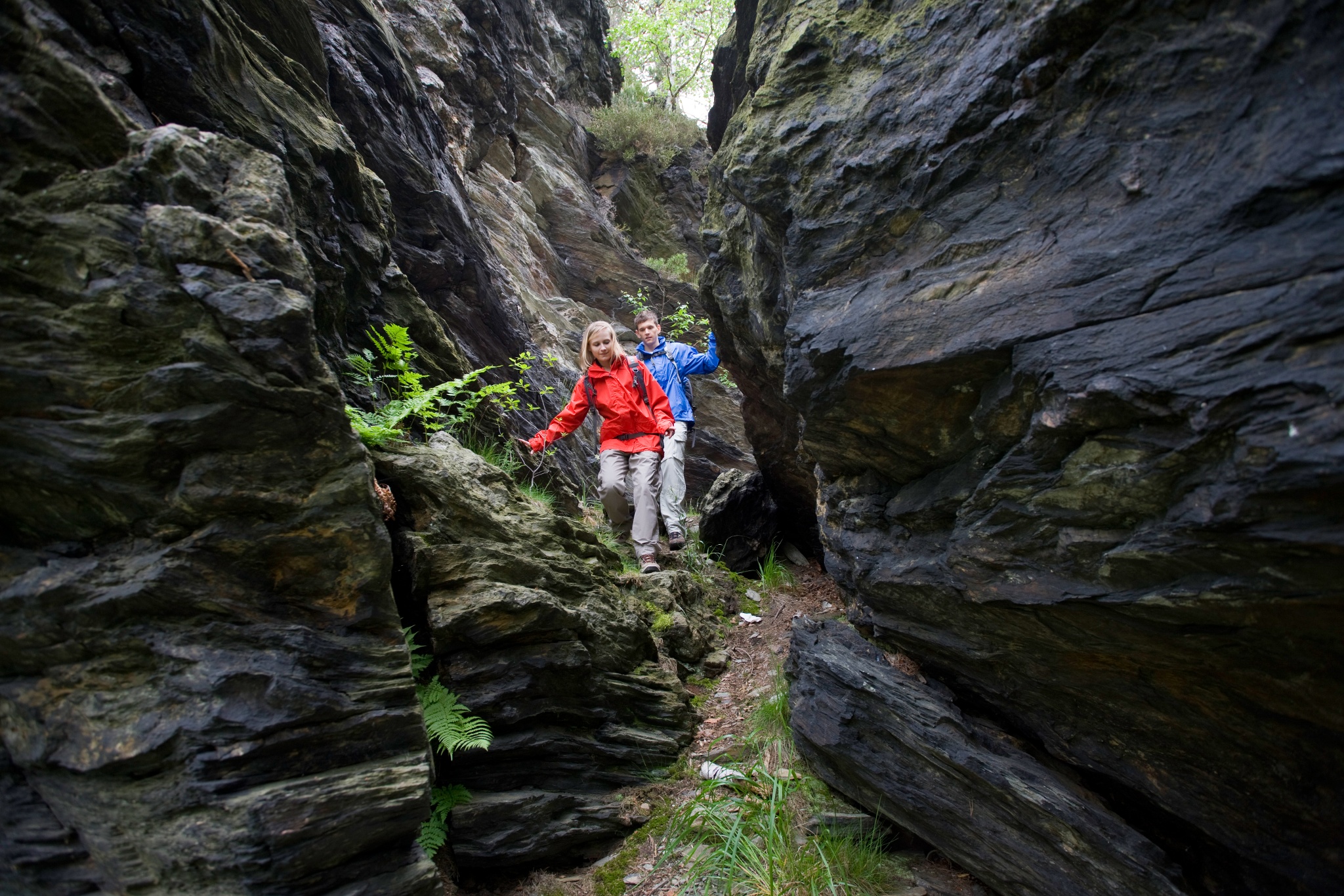 Steinicht Kletterfelsen – Motiv
