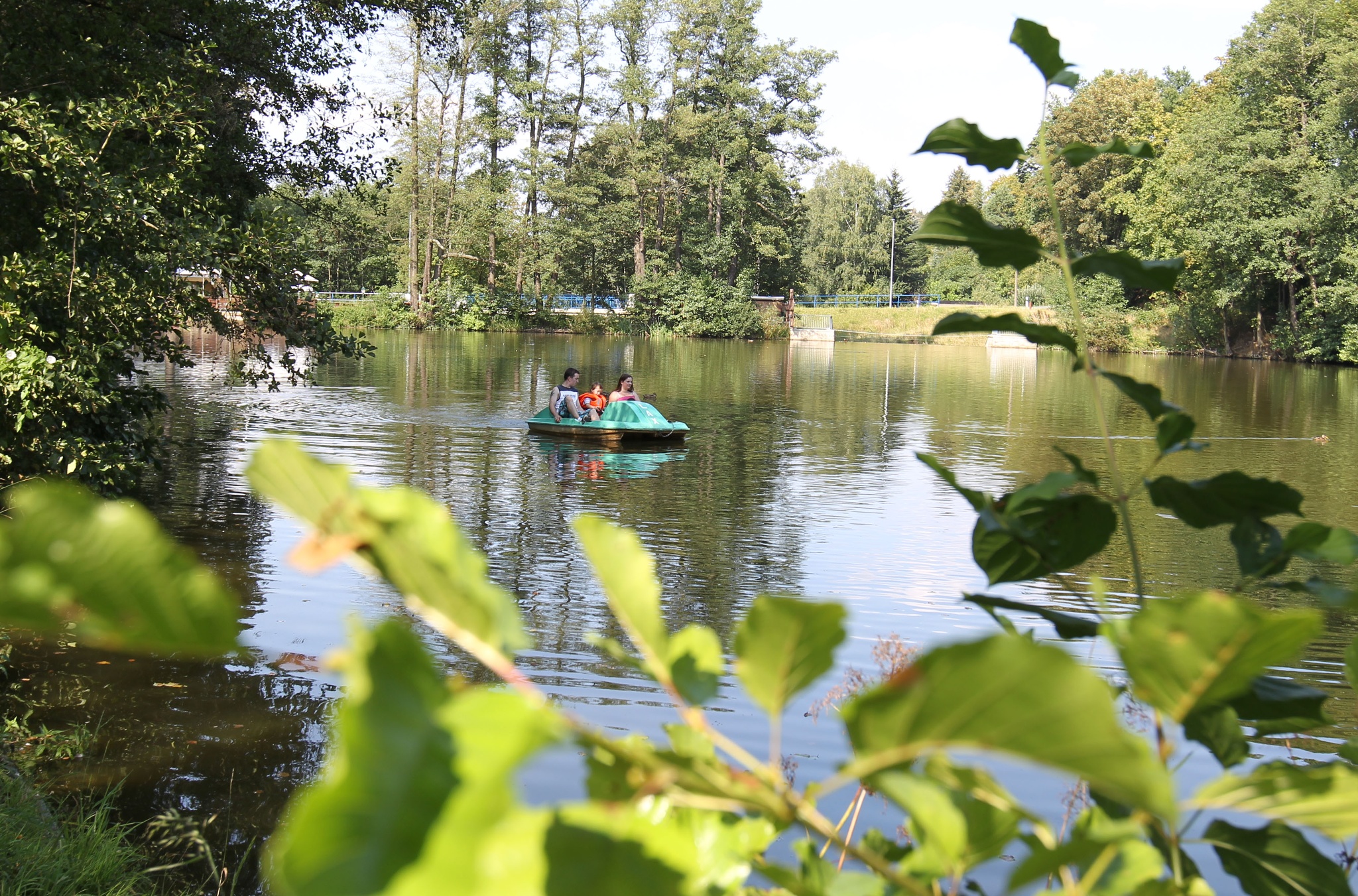 Plauener Rundwanderweg – Etappe 1: Reusa – Südvorstadt – Motiv