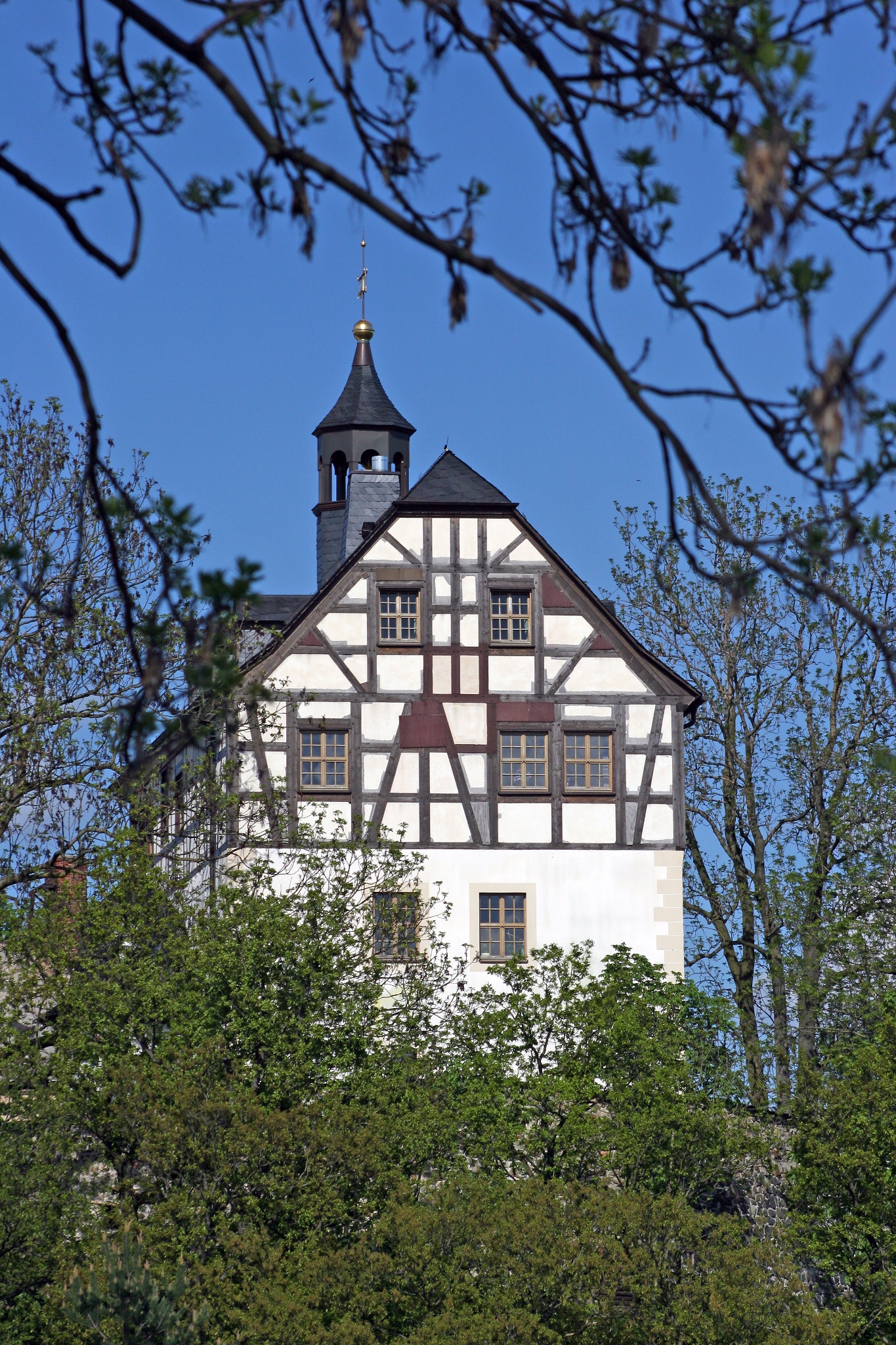 Schloss Jößnitz – Motiv