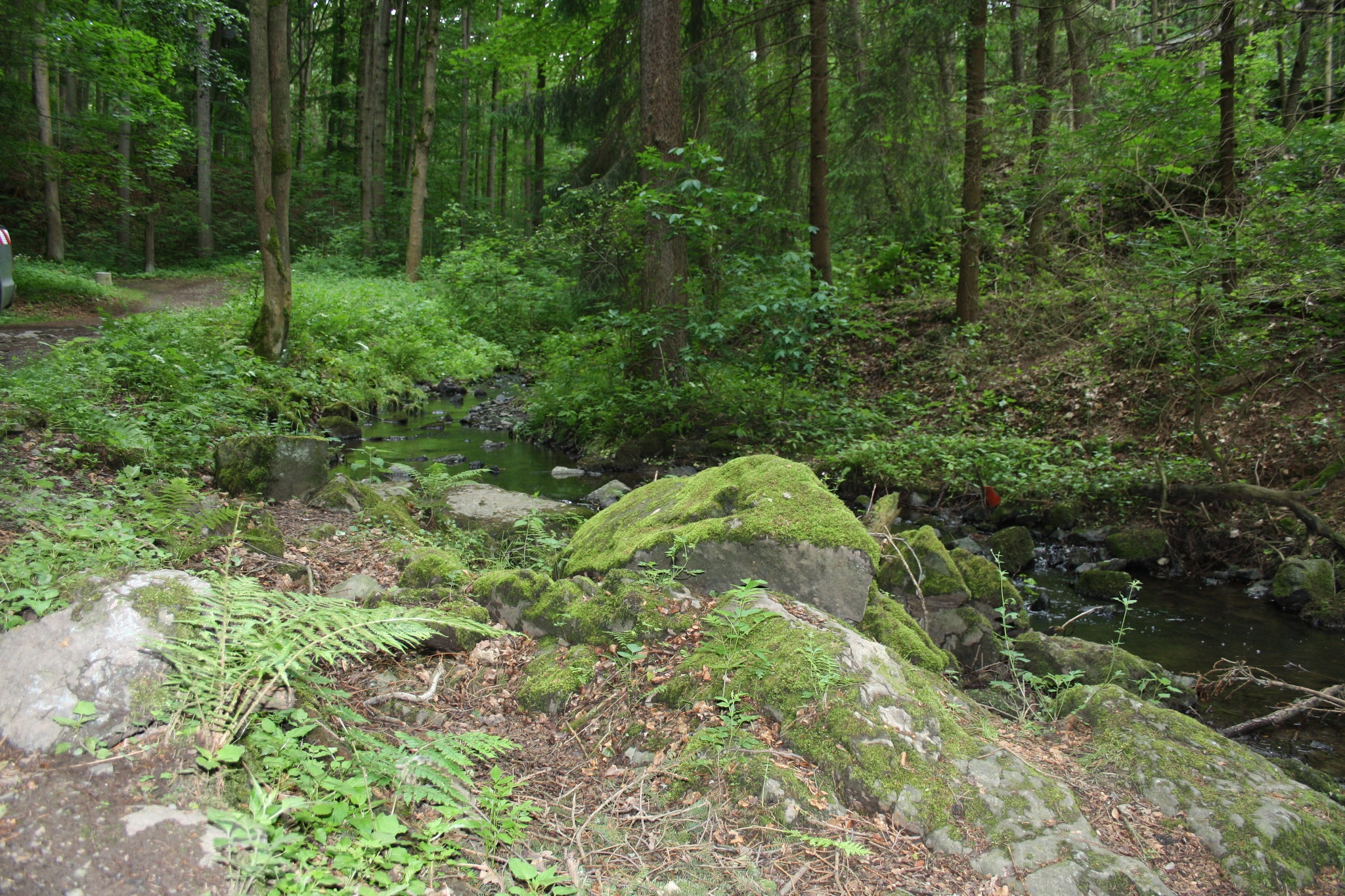 J4 – Wanderung zur Pfaffenmühle – Motiv