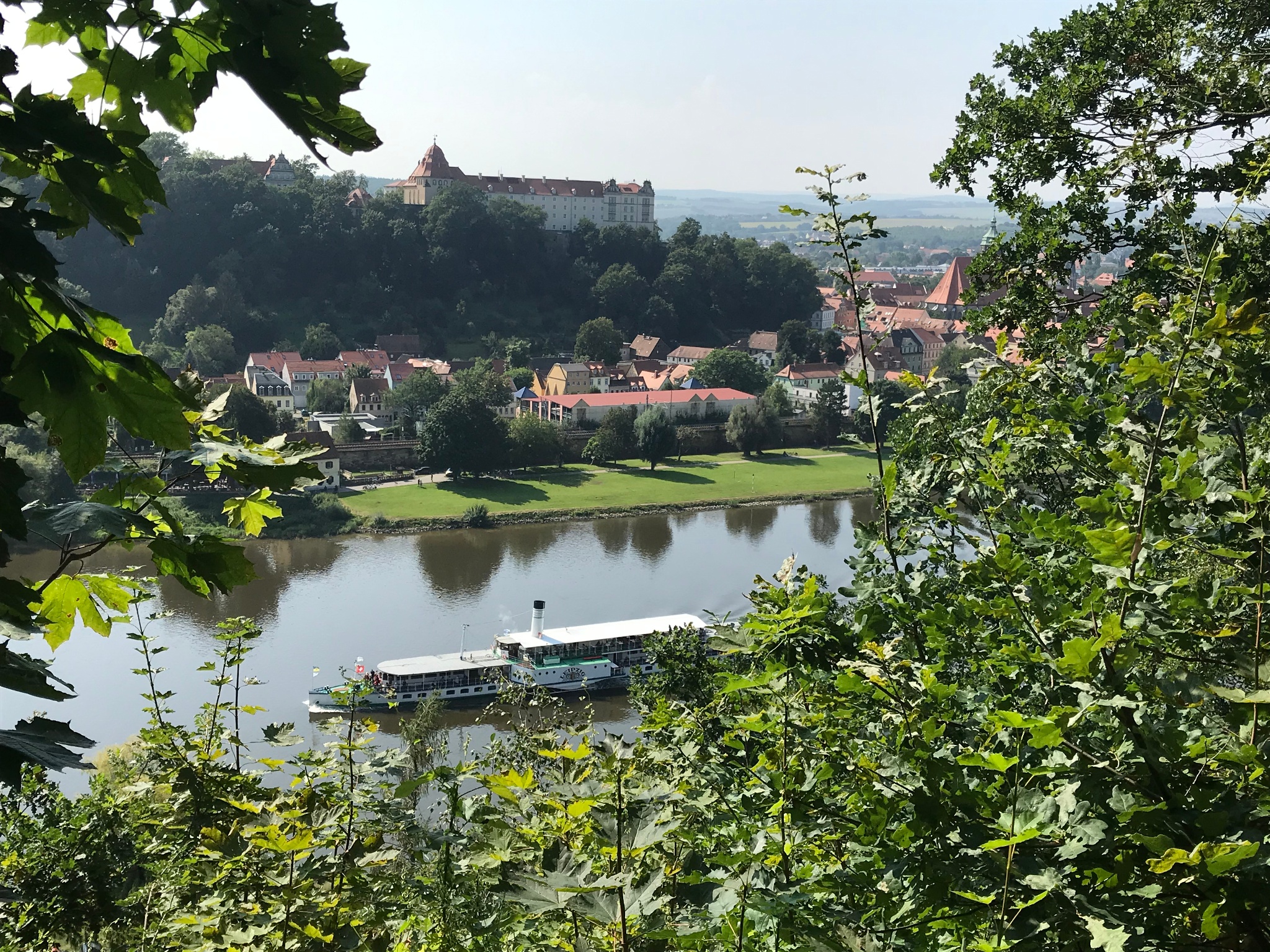 Sächsischer Weinwanderweg – Etappe 1 – Von Pirna bis Dresden-Pillnitz – Motiv