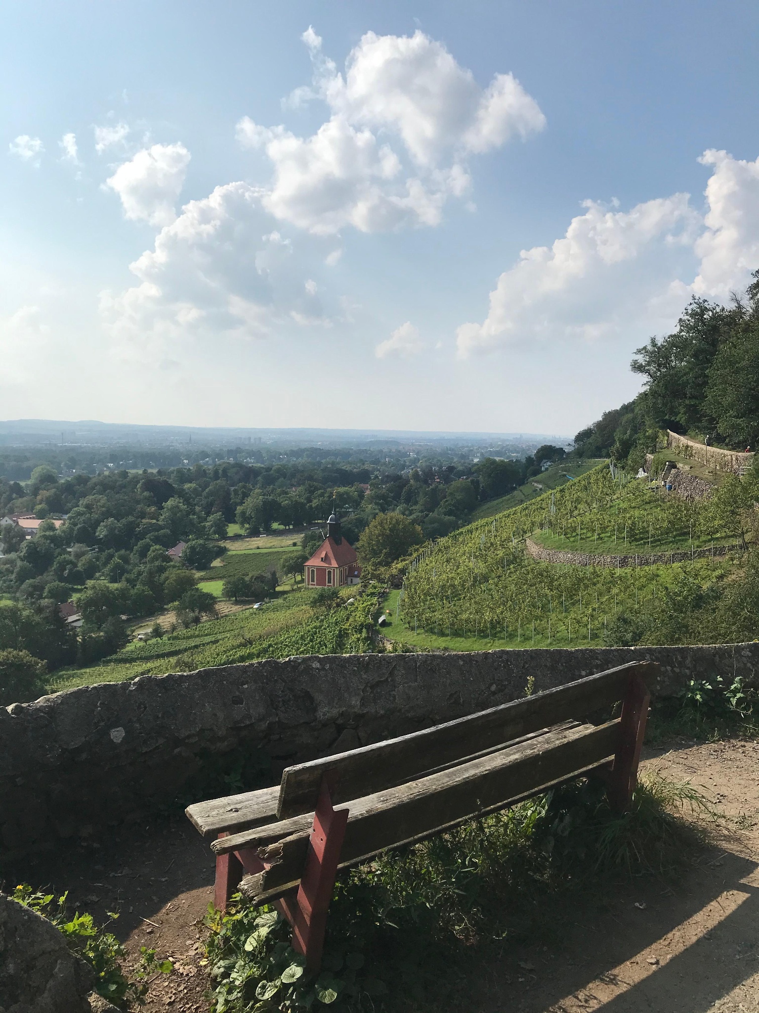 Weinbau Donath – Motiv