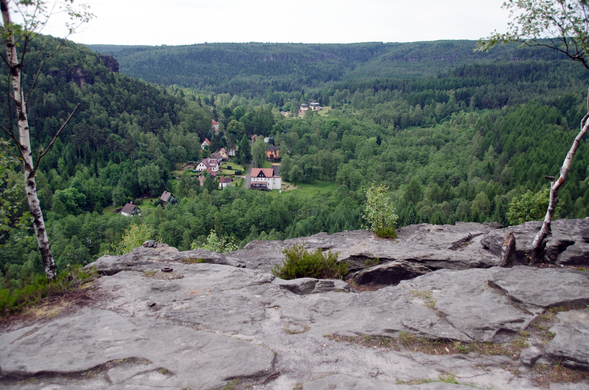 Forststeig – Etappe 4: Von der Kamphütte zur Rotsteinhütte