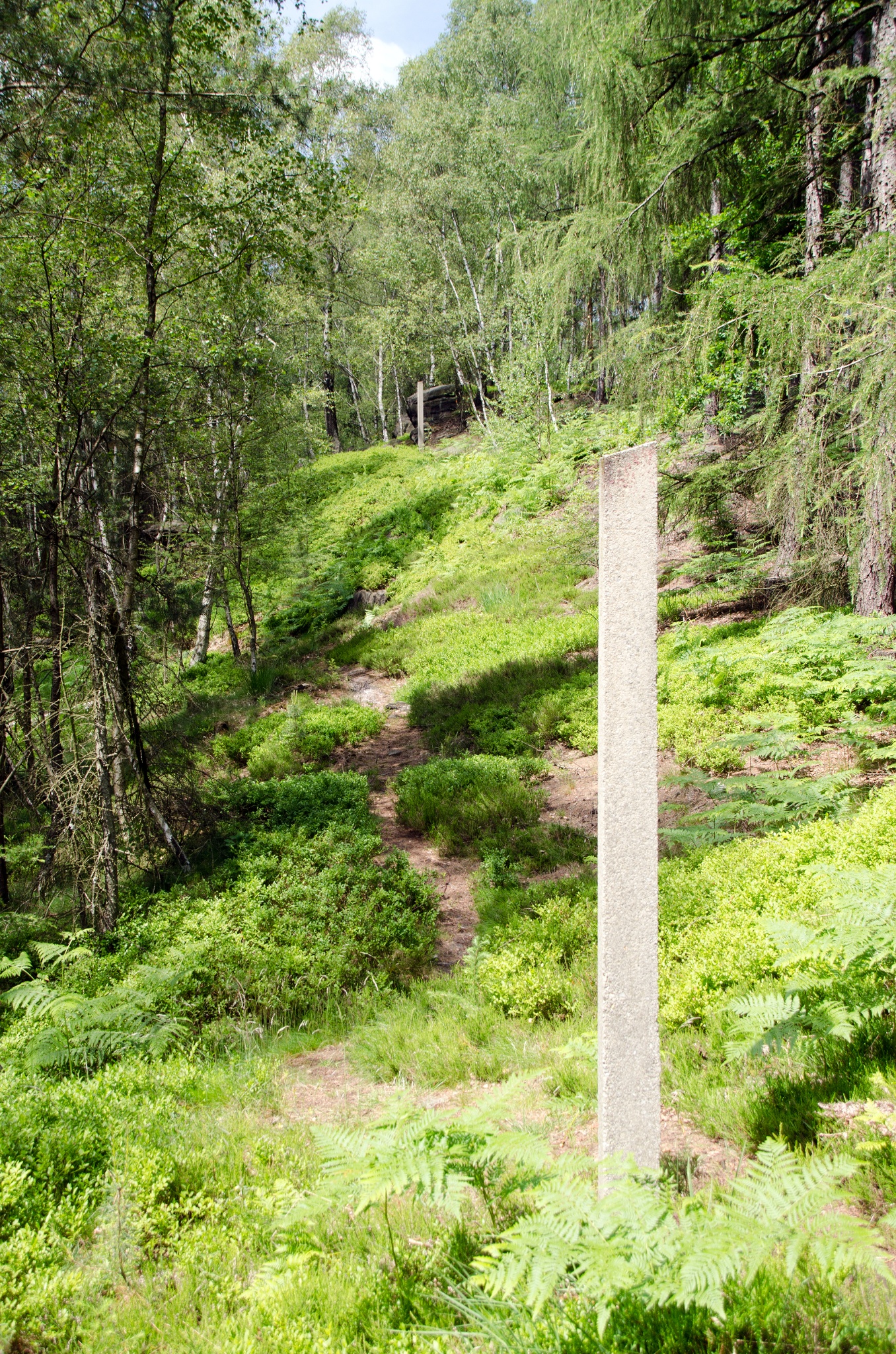 Forststeig – Etappe 3: Von Ostrov zur Kamphütte