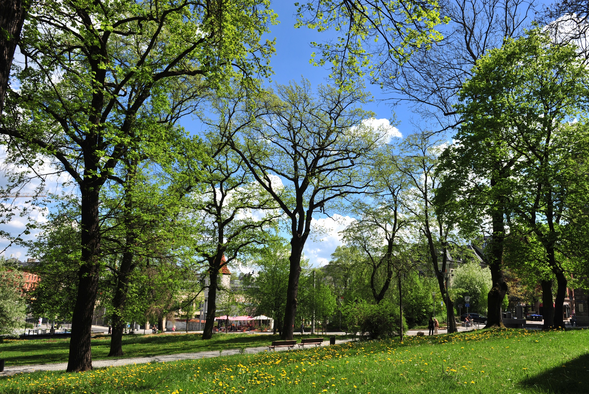 Lutherpark – Motiv