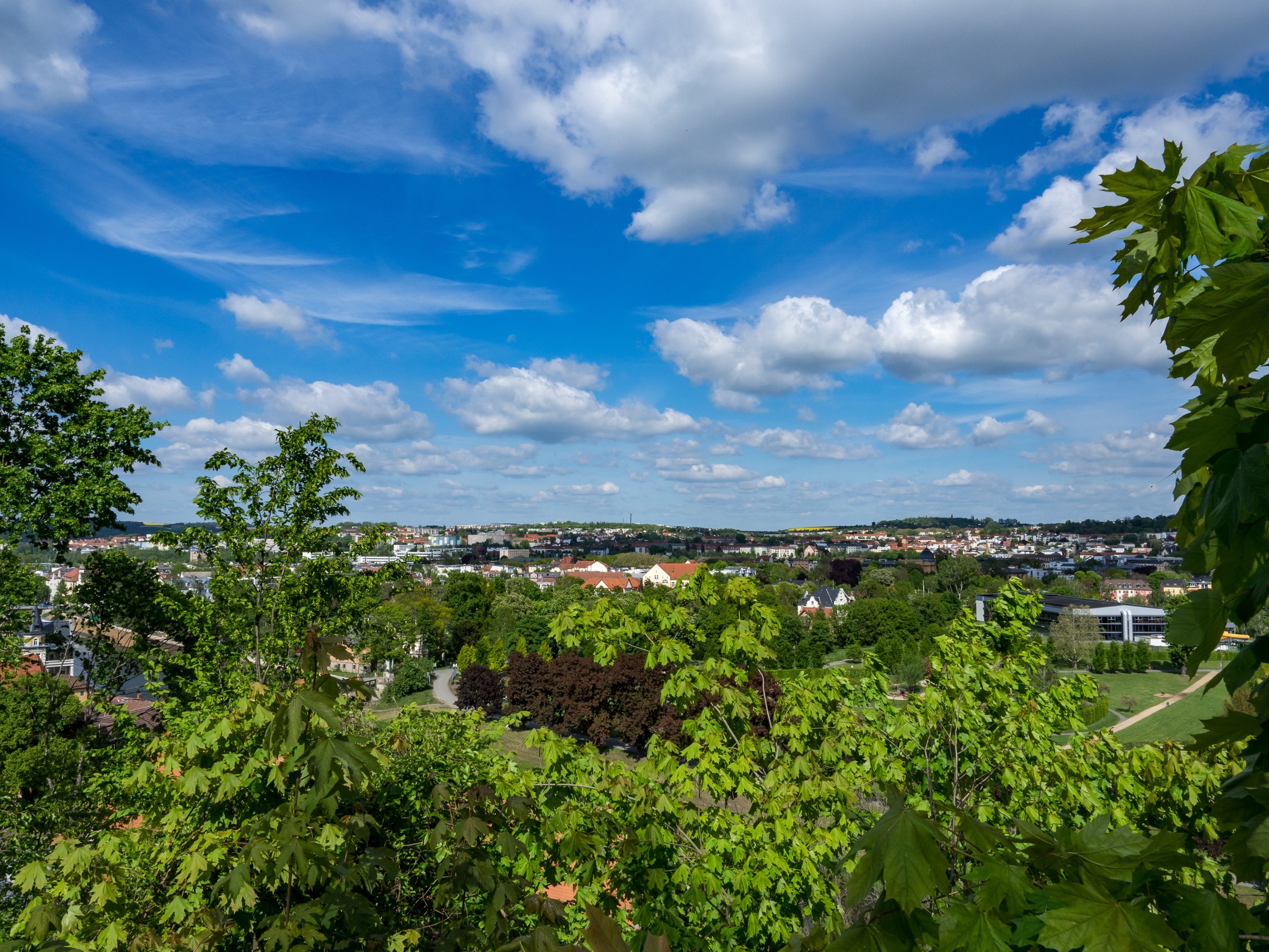 Lutherrundweg „Katharina-Spange“ – Motiv